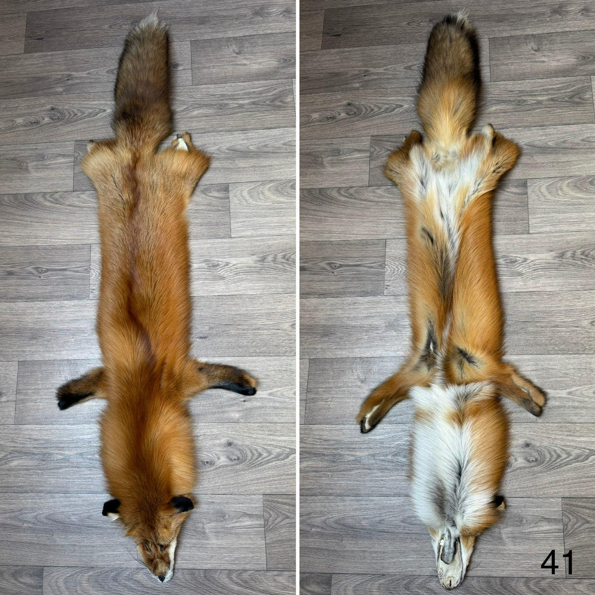 Gold fox pelt (41)
