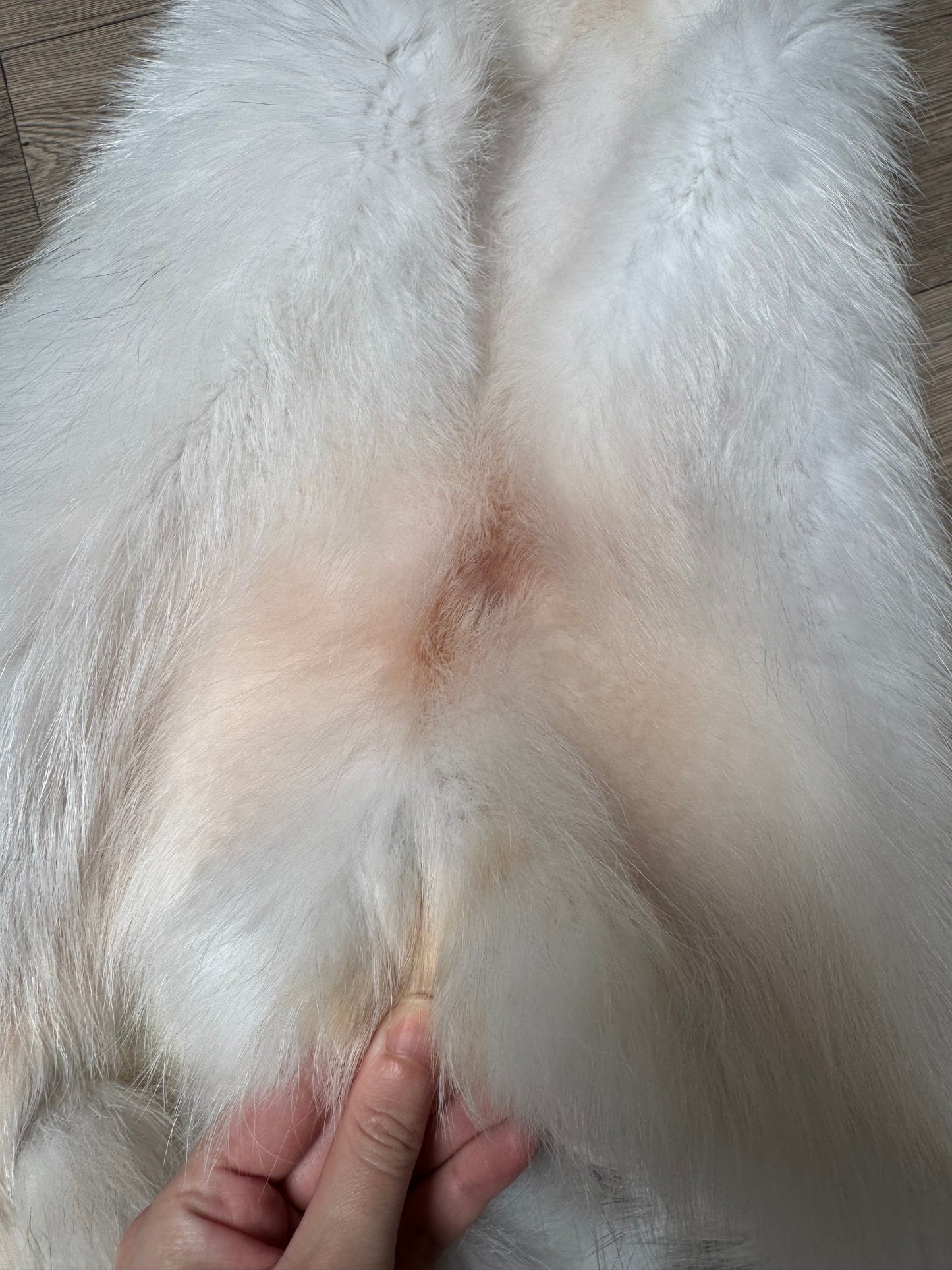 Marble tanuki pelt (5)