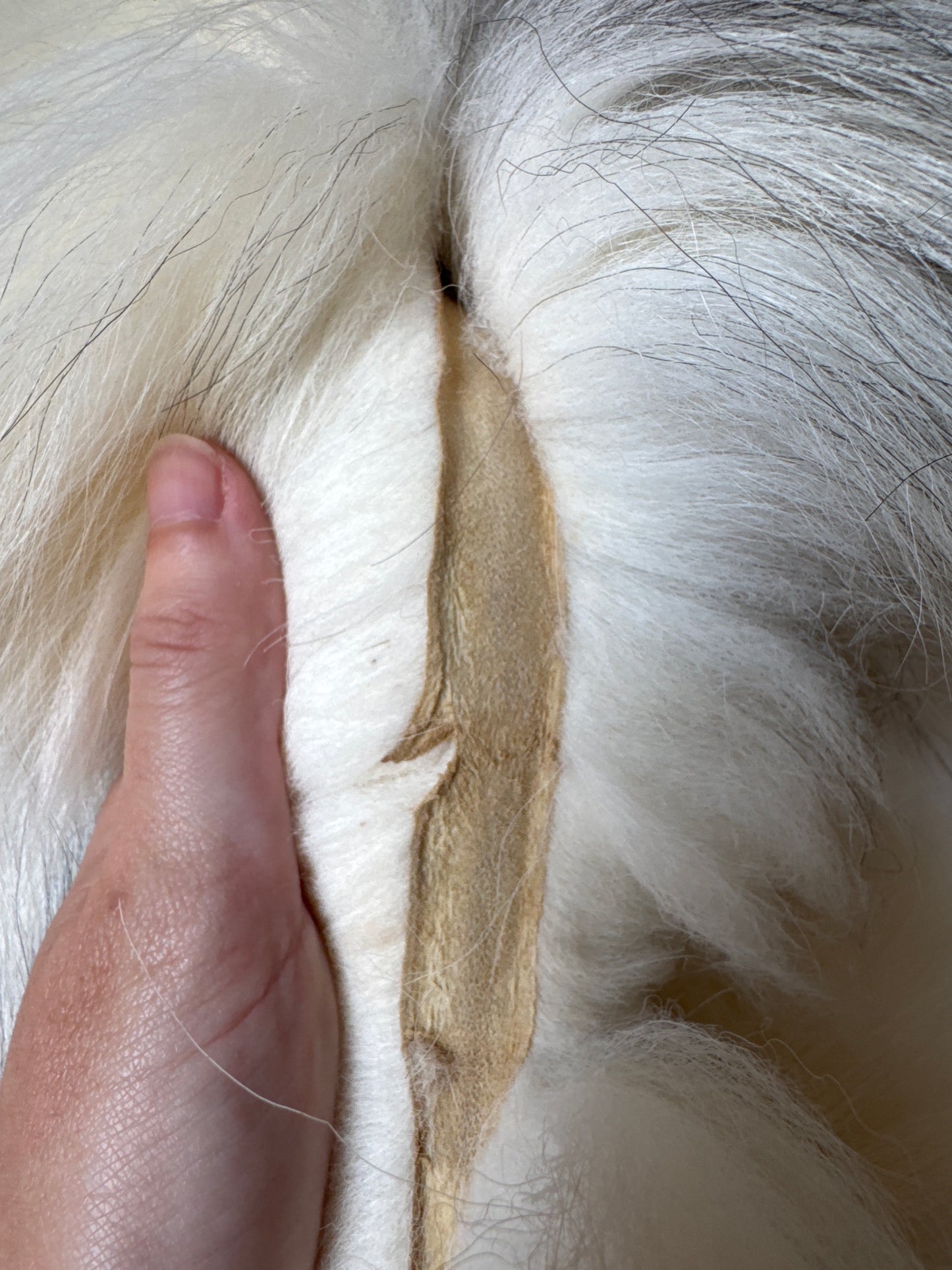 Cross Marble fox pelt (16)