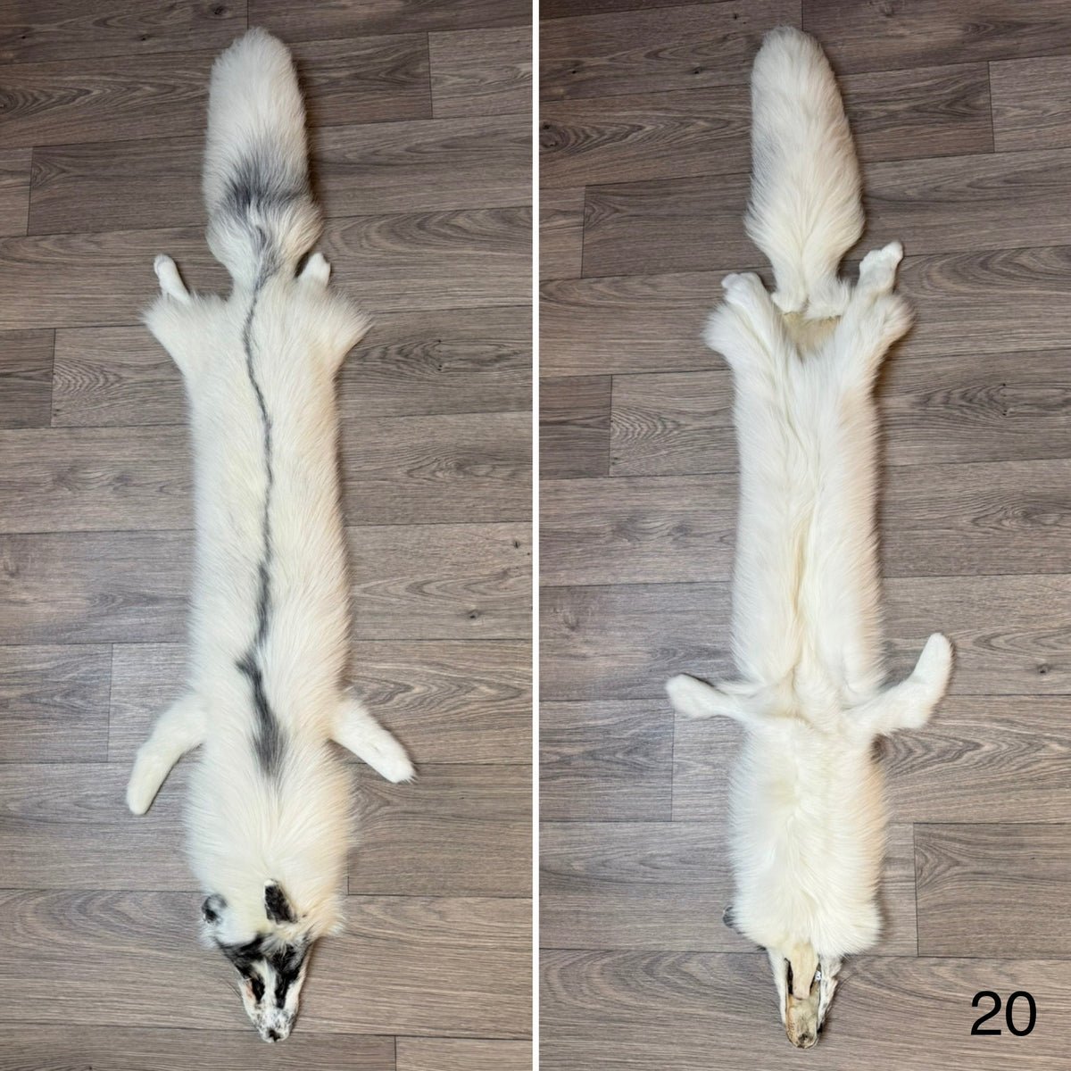 Arctic Marble fox pelt (20)