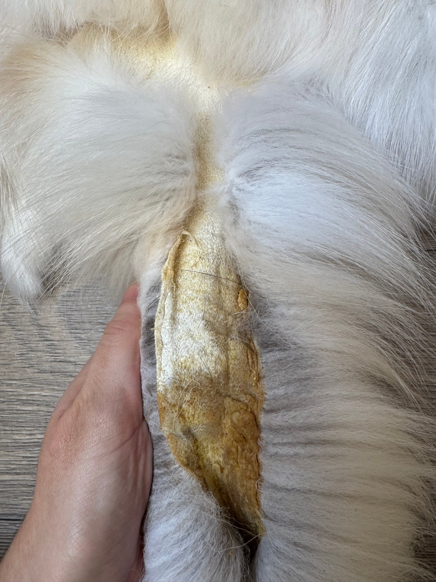 Marble tanuki pelt (18)
