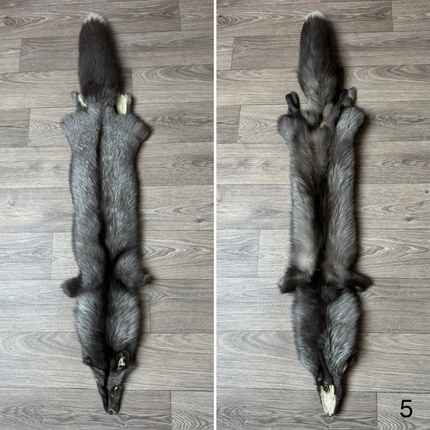 Pearl fox pelt (5)
