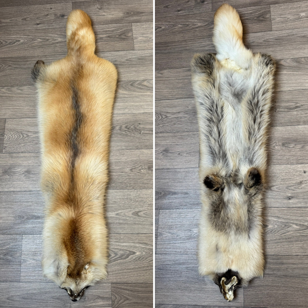 Tanuki private listing