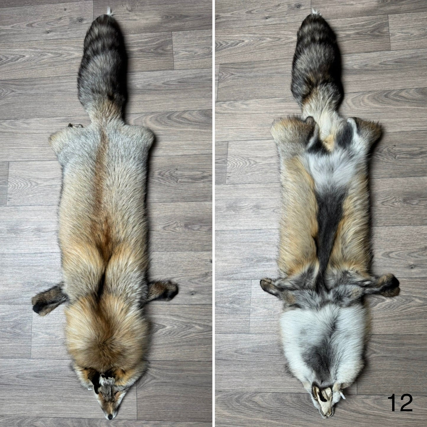 Smokey fox pelt (12)