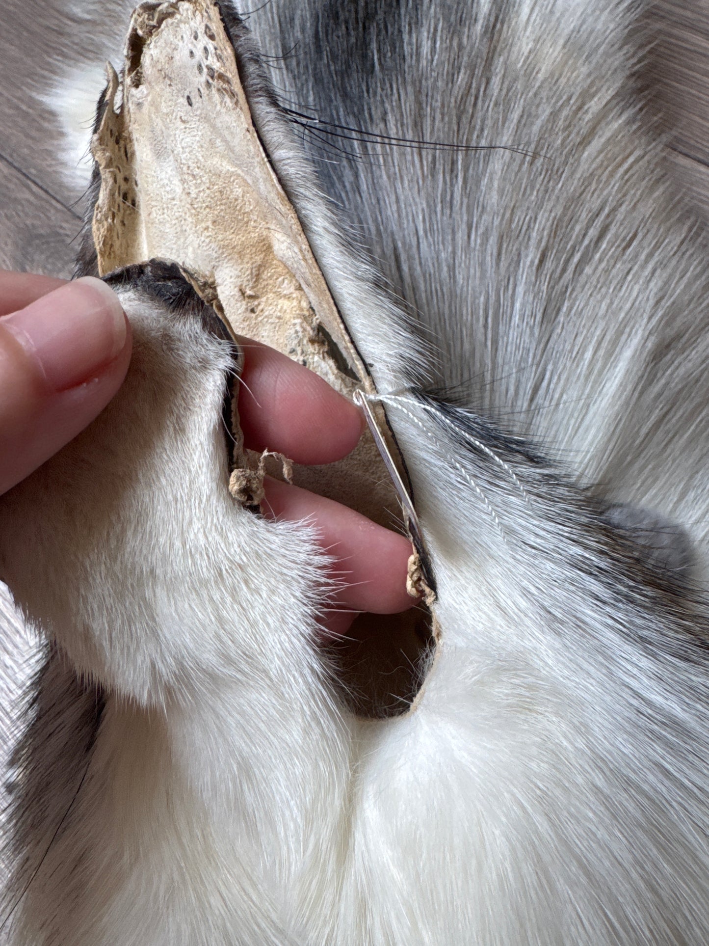 Cross Marble fox pelt (4)
