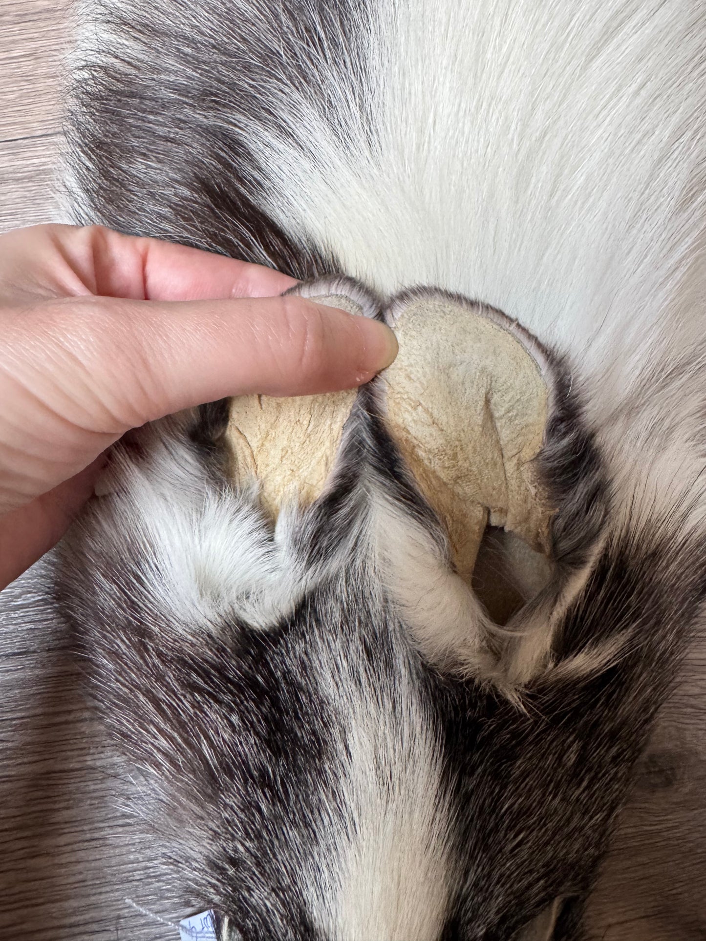 Marble Frost fox pelt (4)