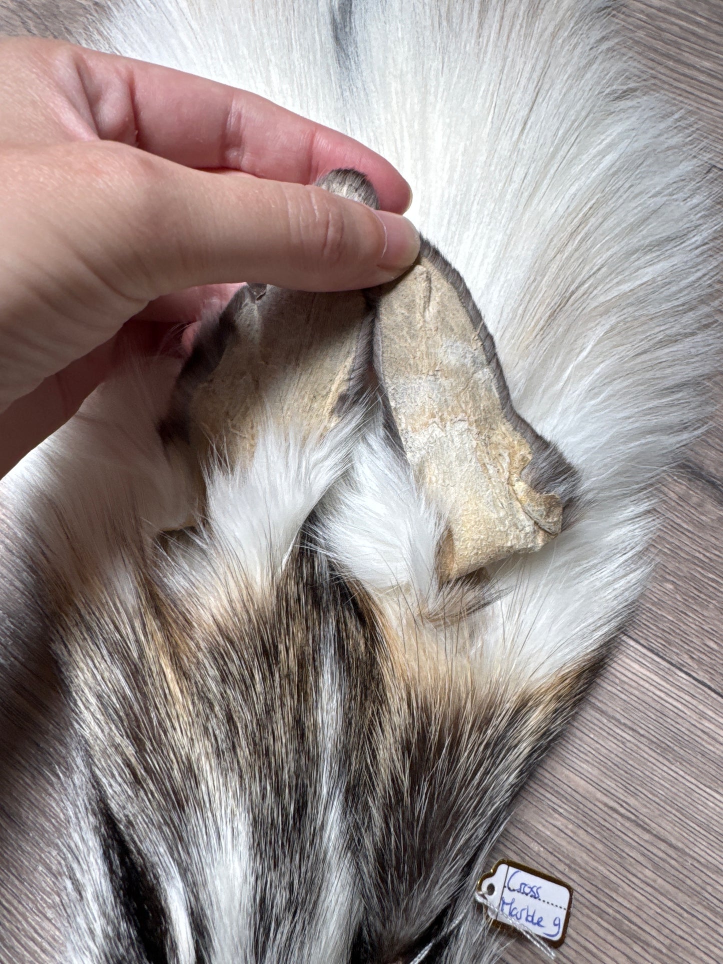 Cross Marble fox pelt (9)