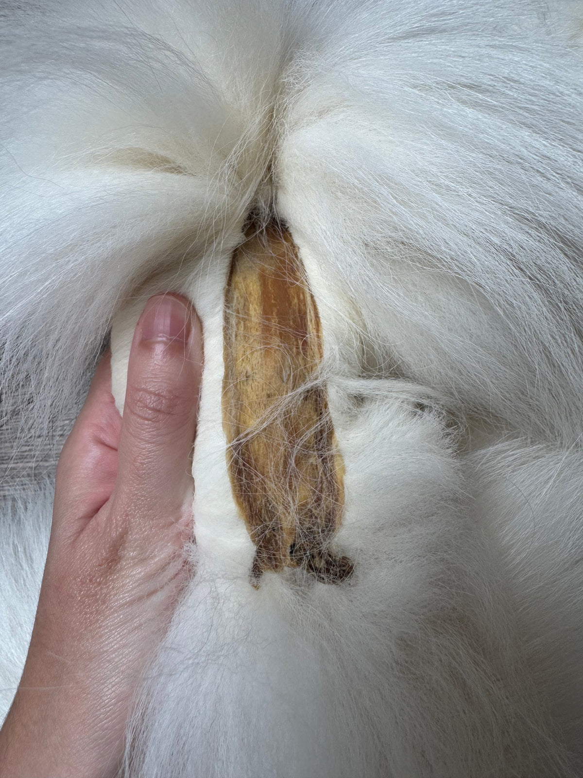 Arctic Marble fox pelt (12)