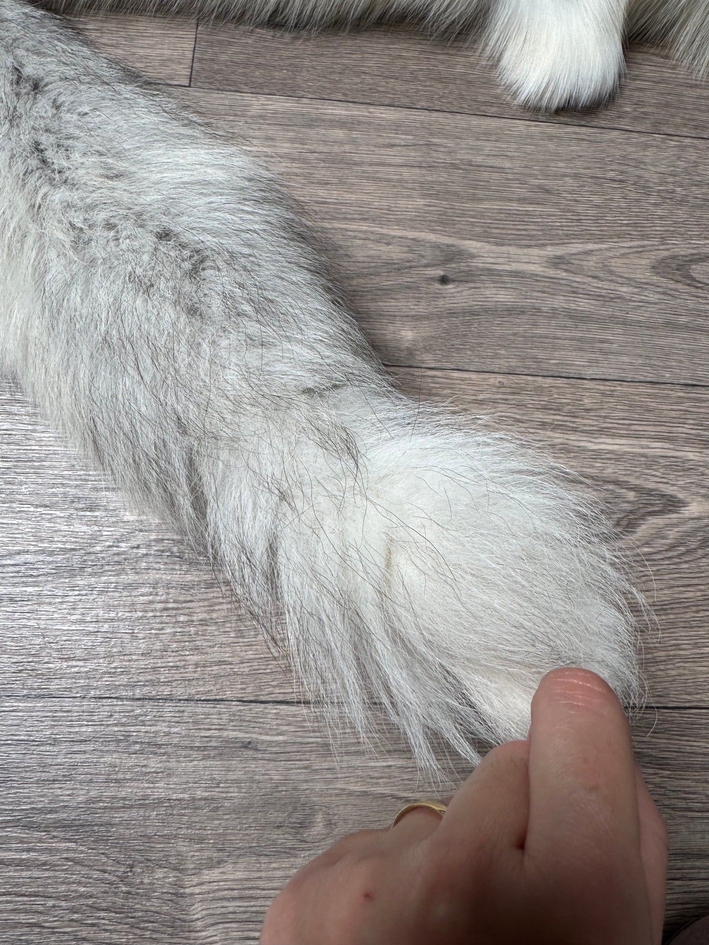 Fawn Light fox pelt (6)
