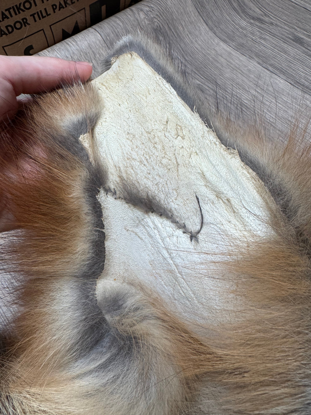Gold fox pelt (2)