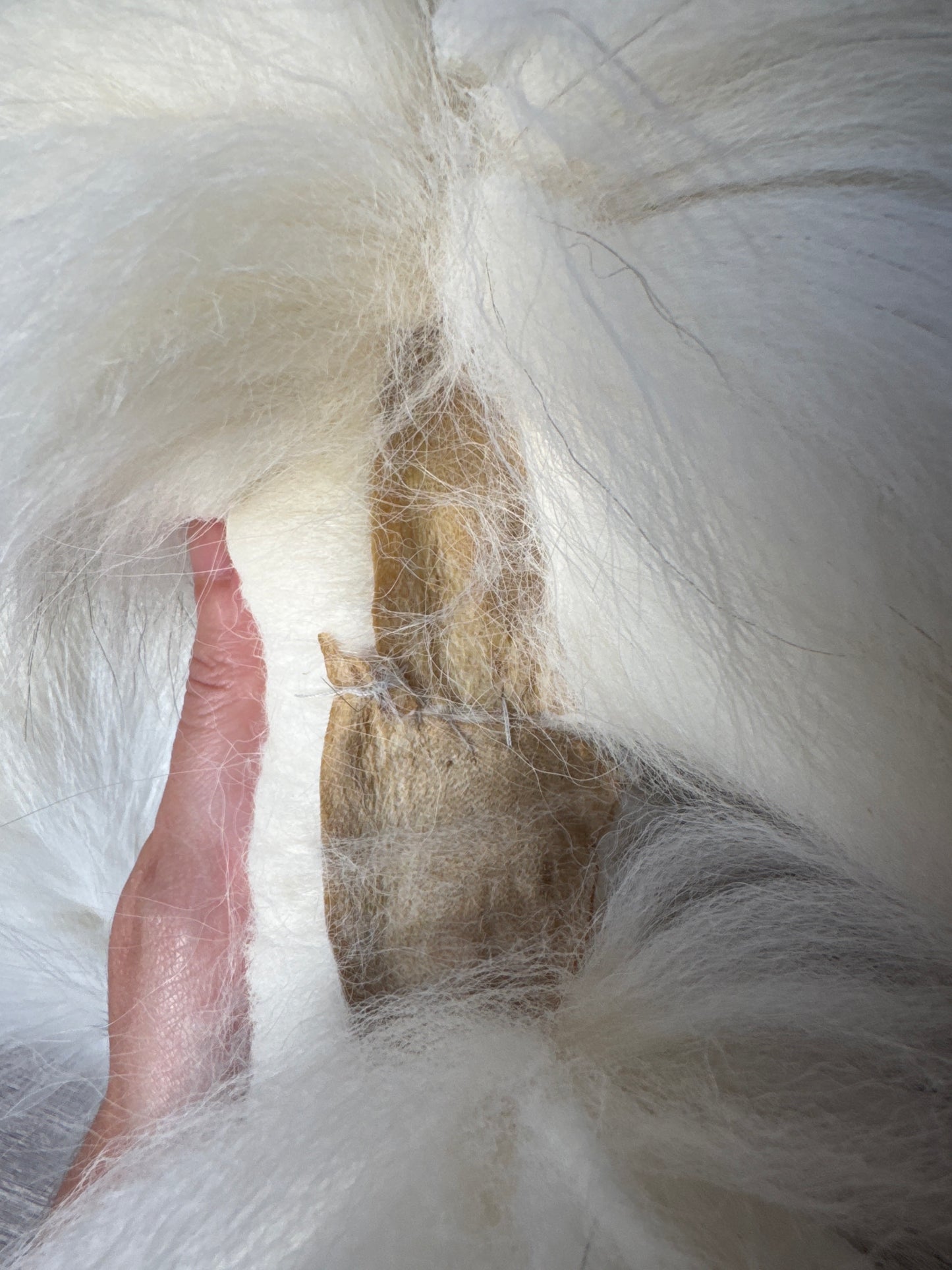 Cross Marble fox pelt (17)