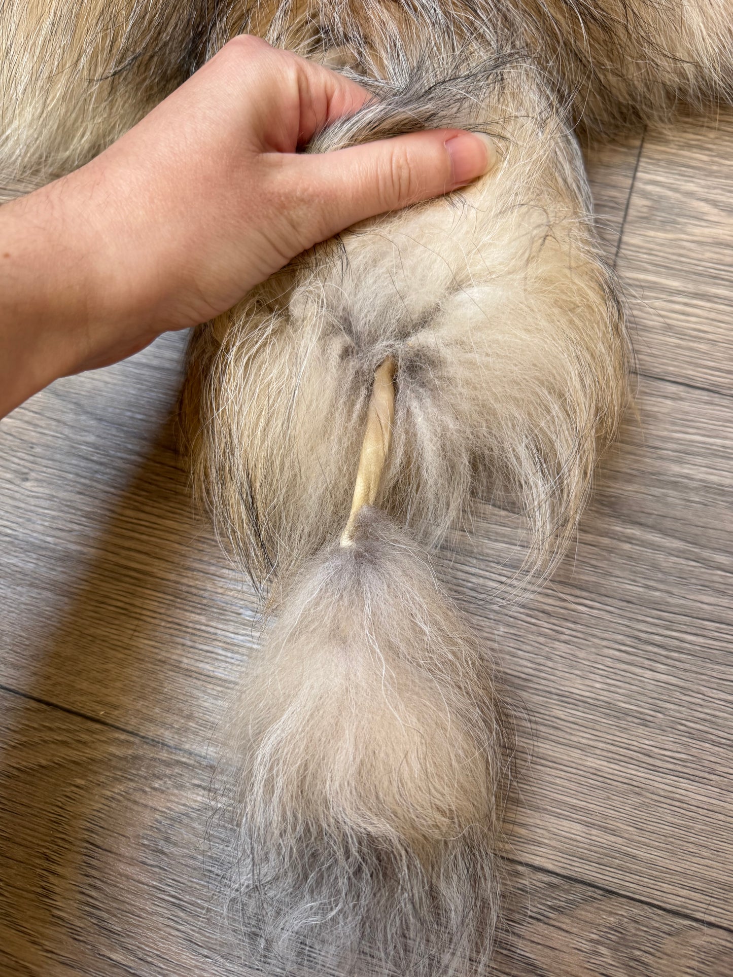 Marble tanuki pelt (13)