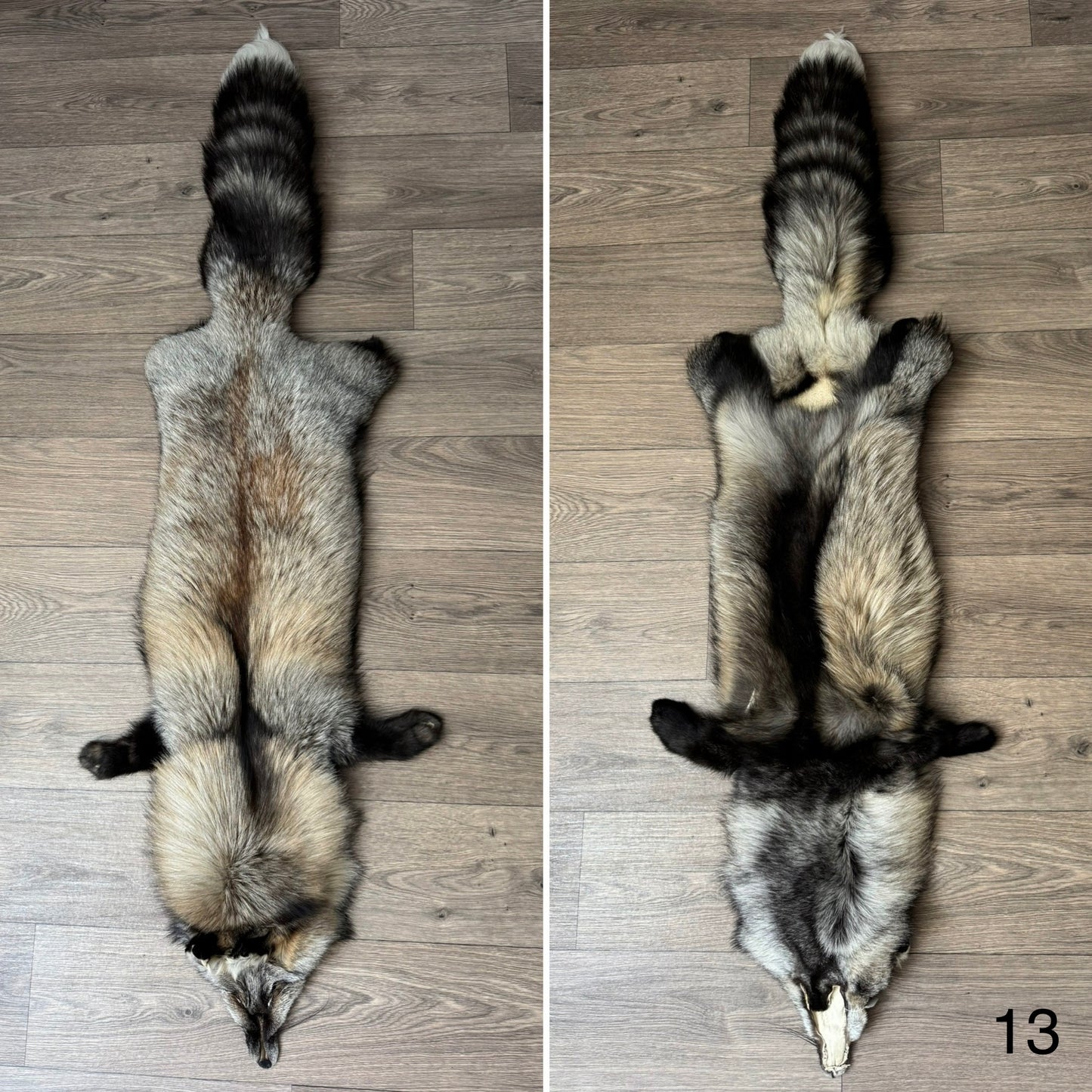 Smokey fox pelt (13)