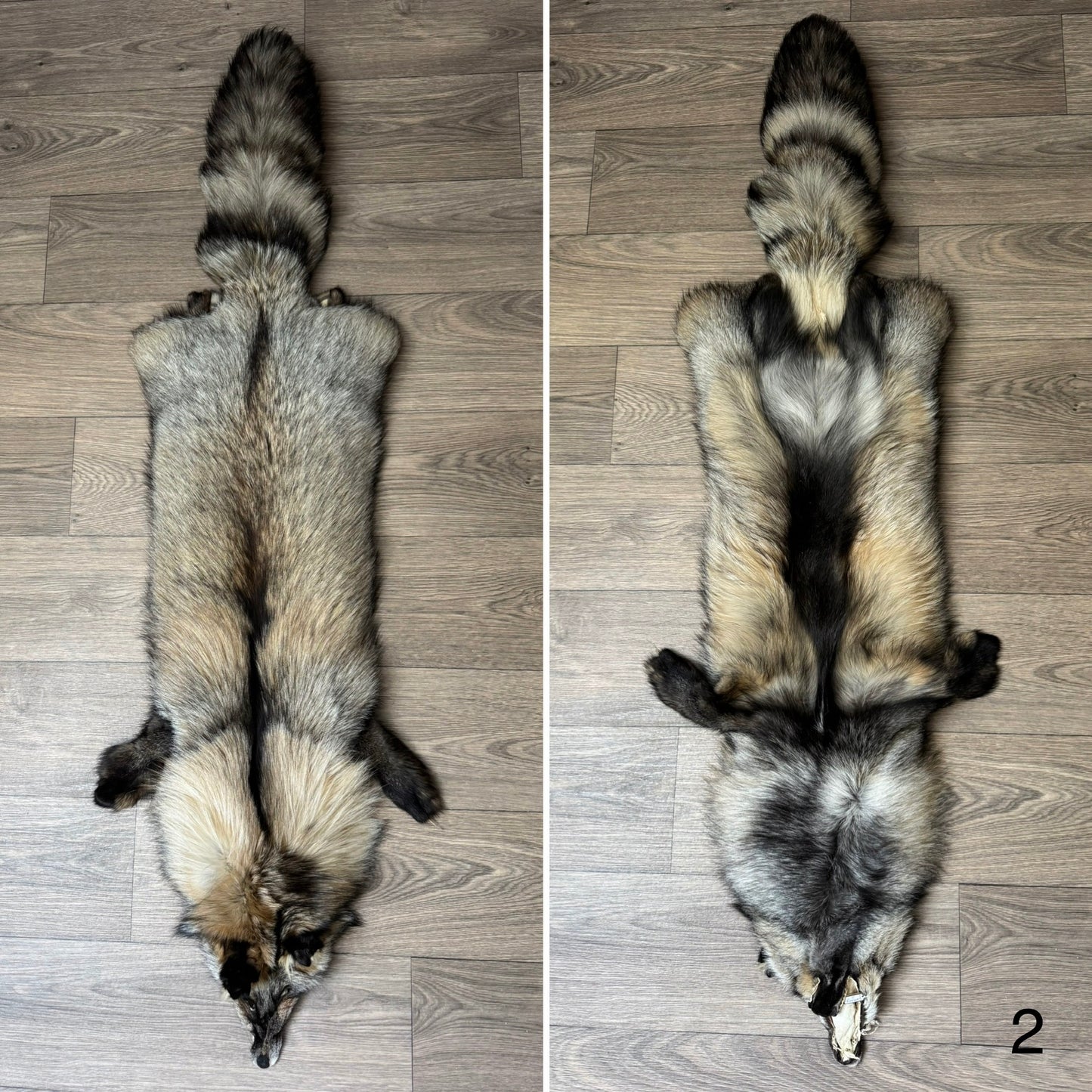 Smokey fox pelt (2)