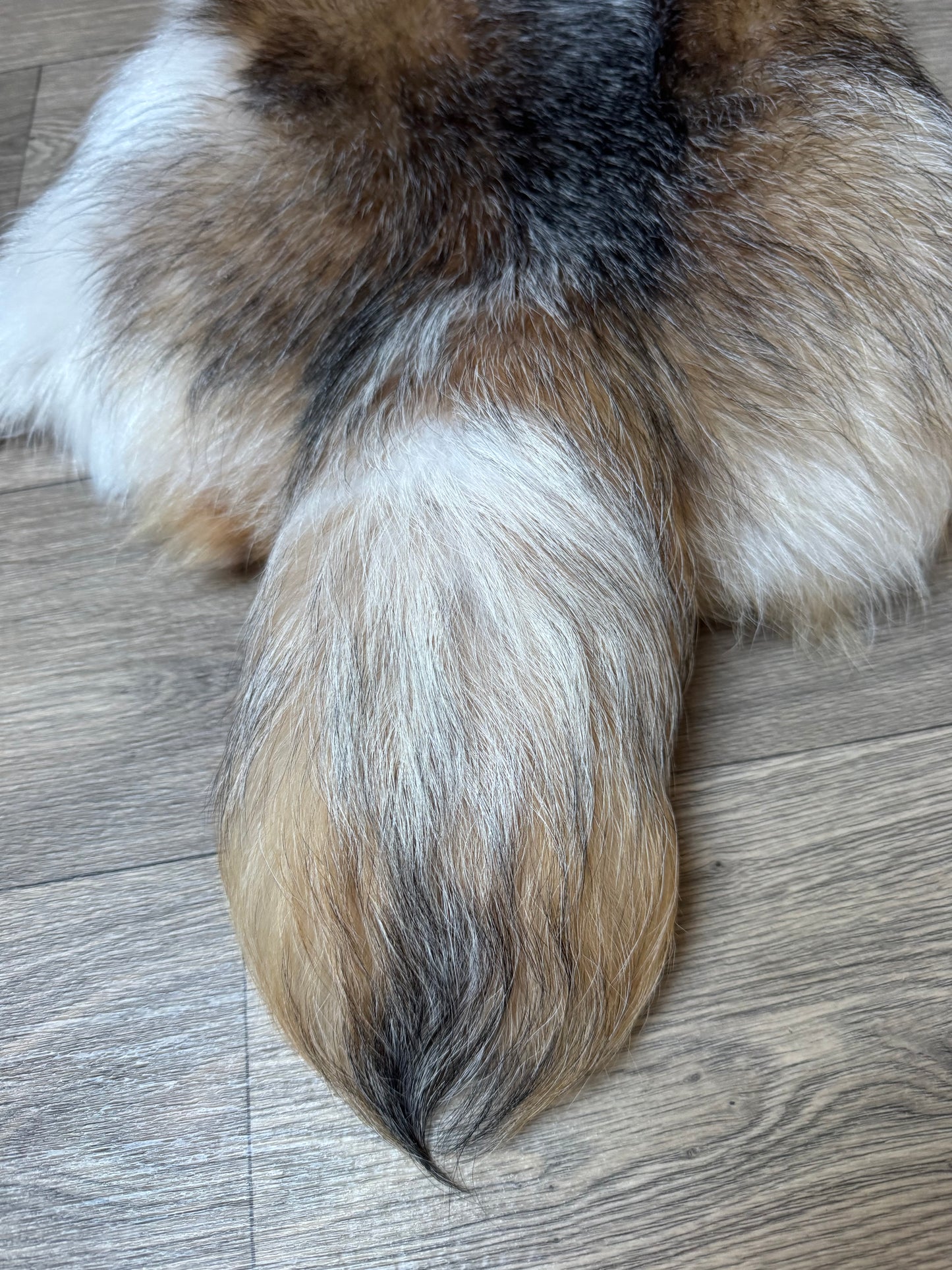 Marble tanuki pelt (4)