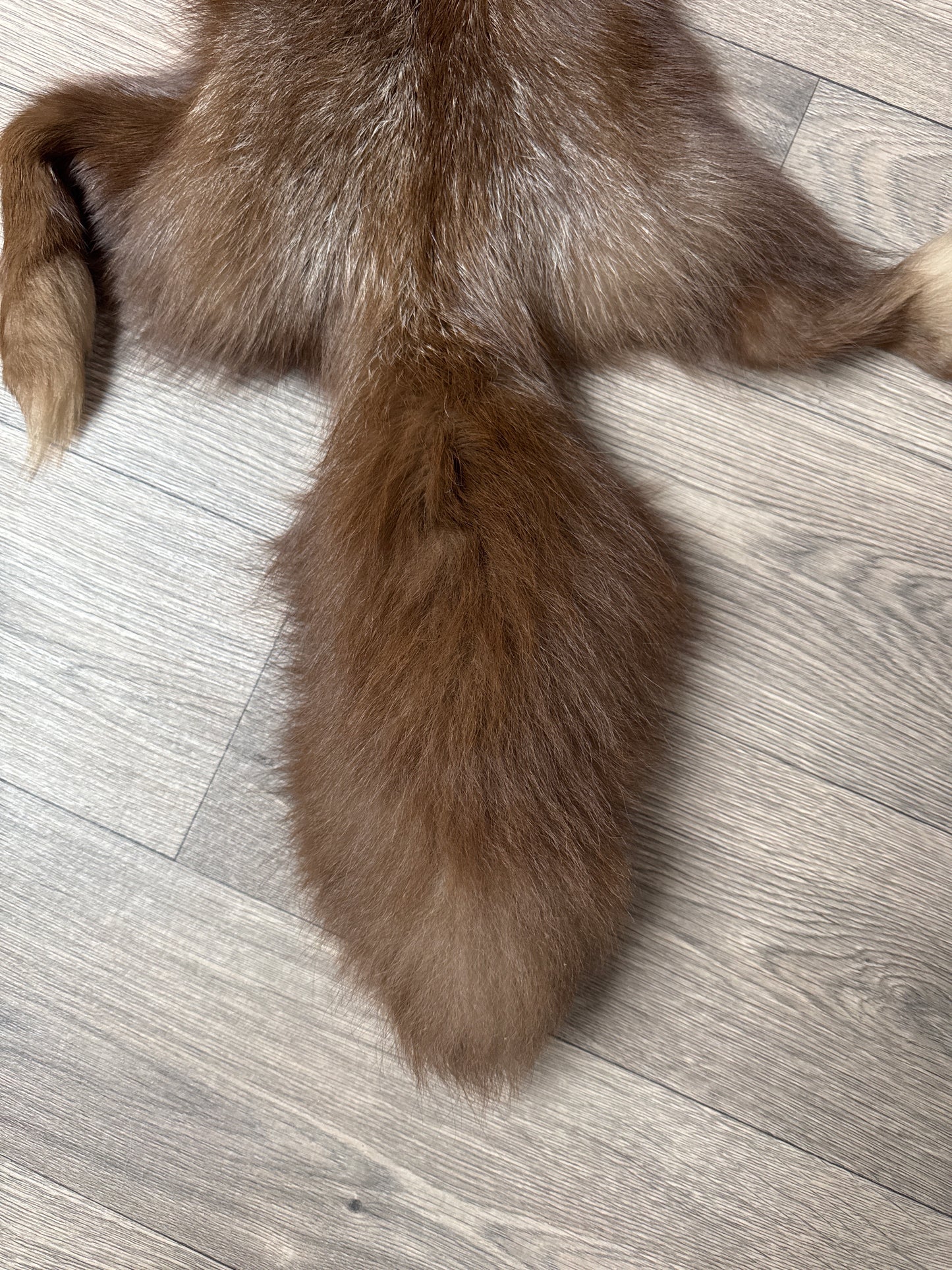 Burgundy fox pelt (12)