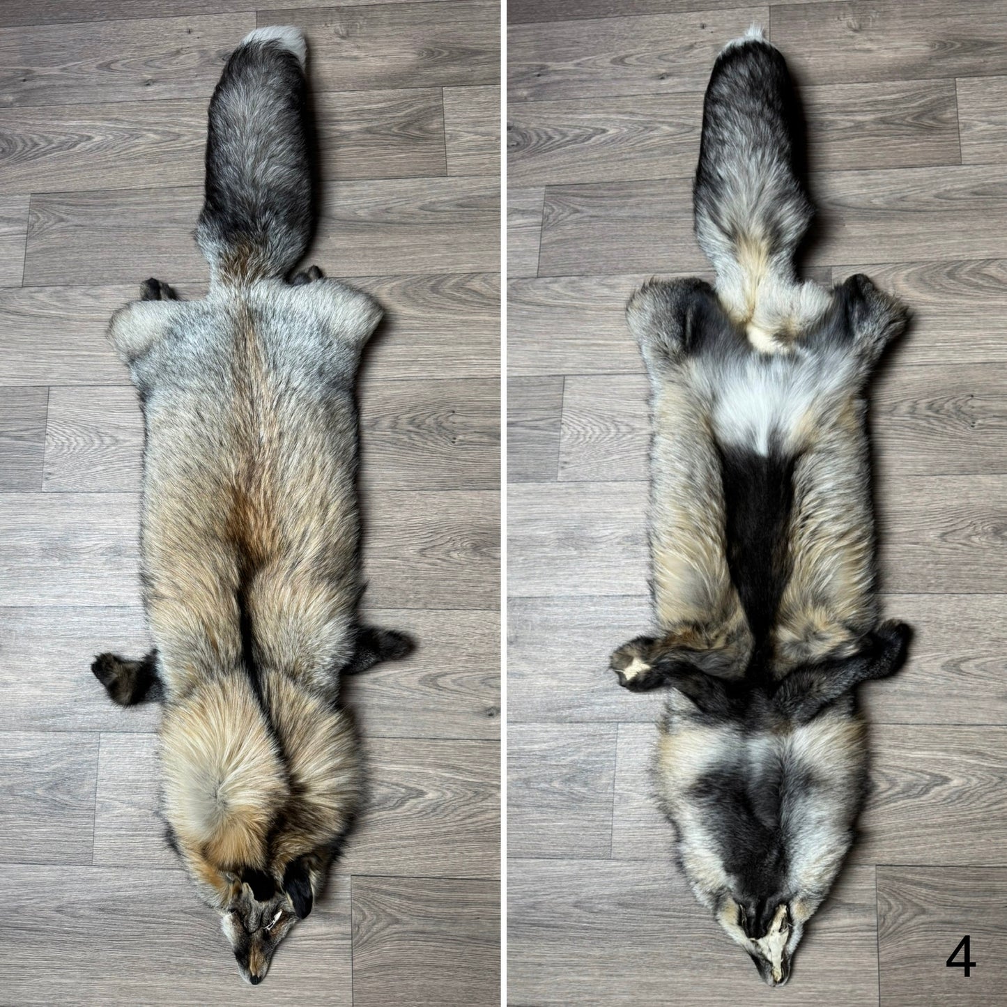 Smokey fox pelt (4)