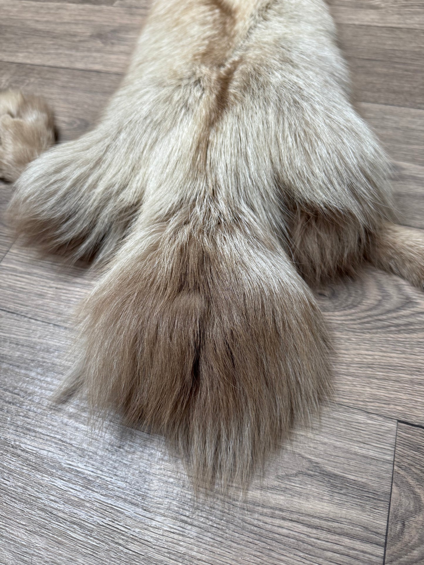 Amber fox pelt (9)