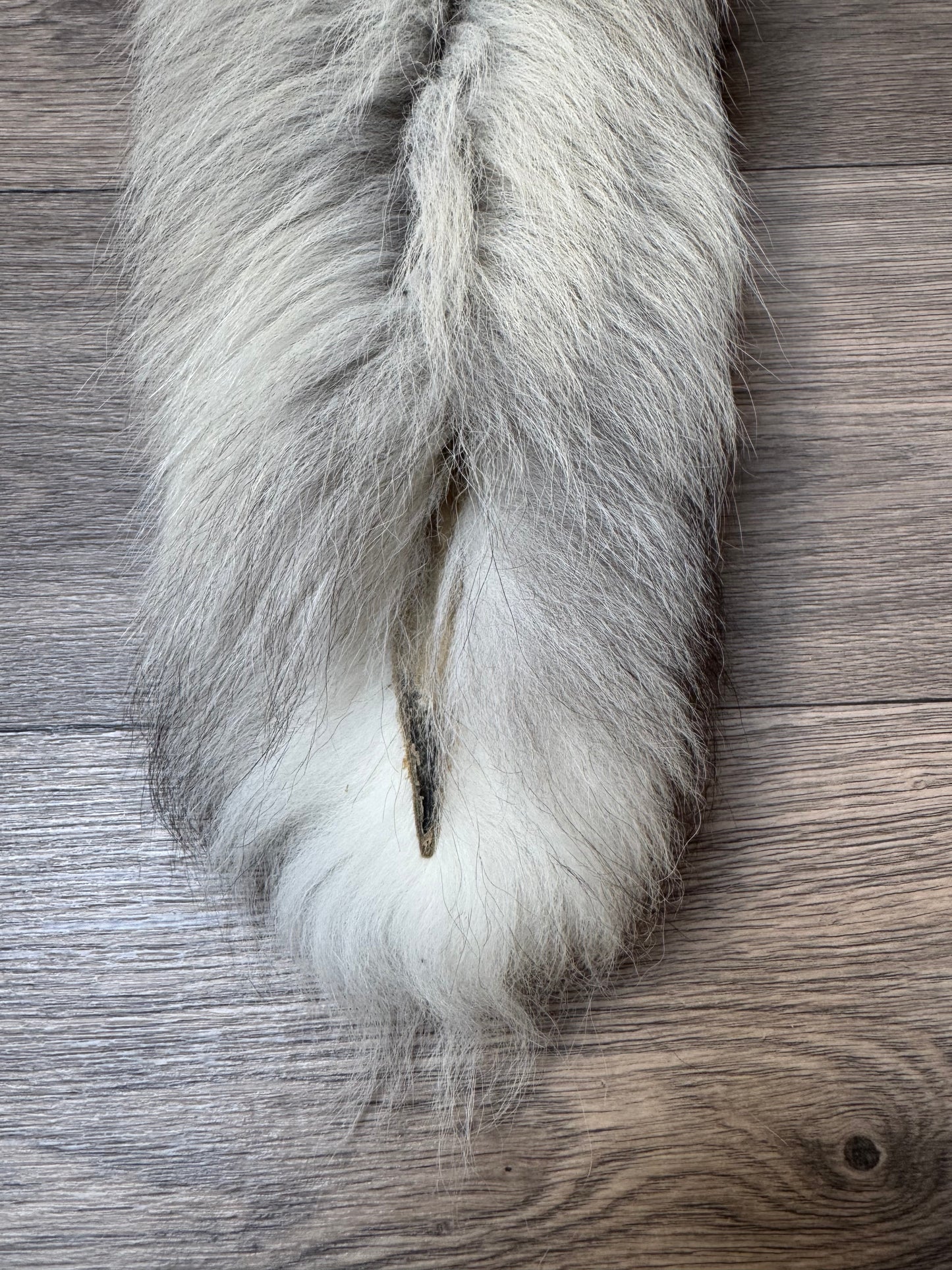 Fawn Light fox pelt (10)