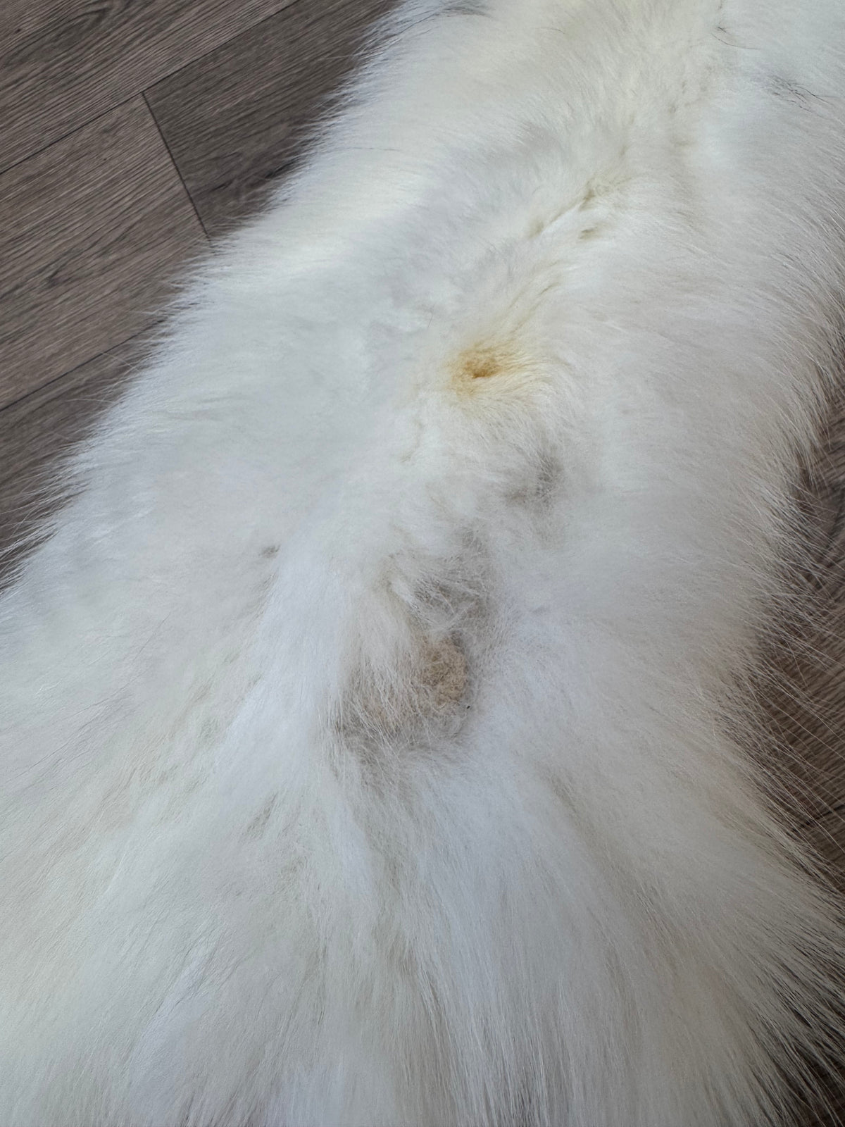Marble Frost fox pelt (14)