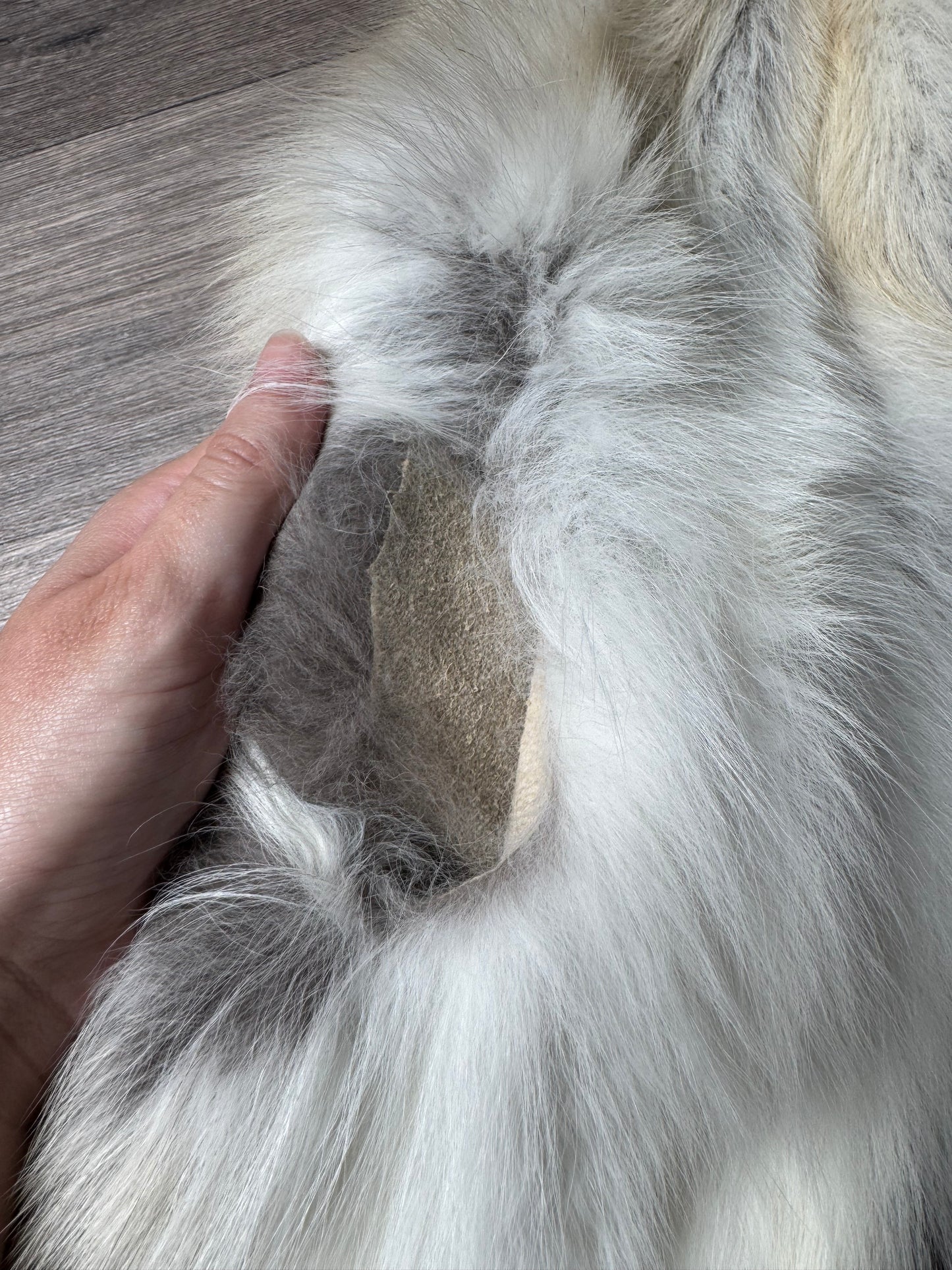 Fawn Light fox pelt (9)