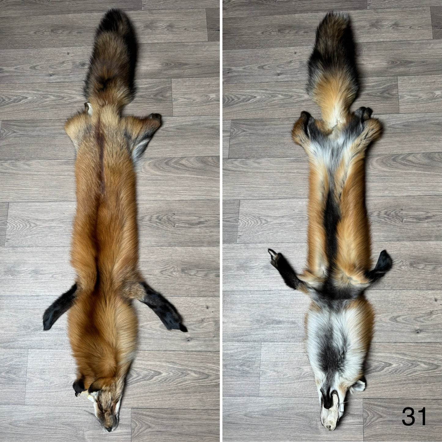 Gold fox pelt (31)