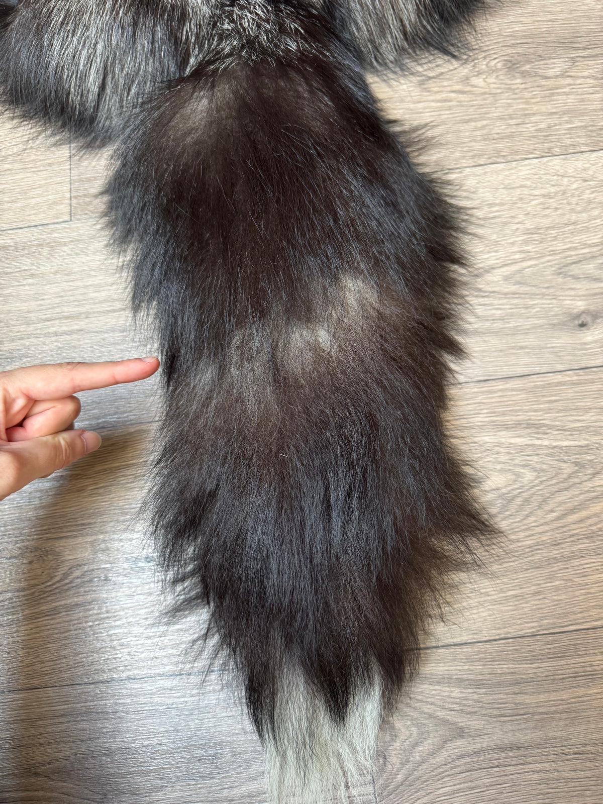 Silver fox pelt (25)