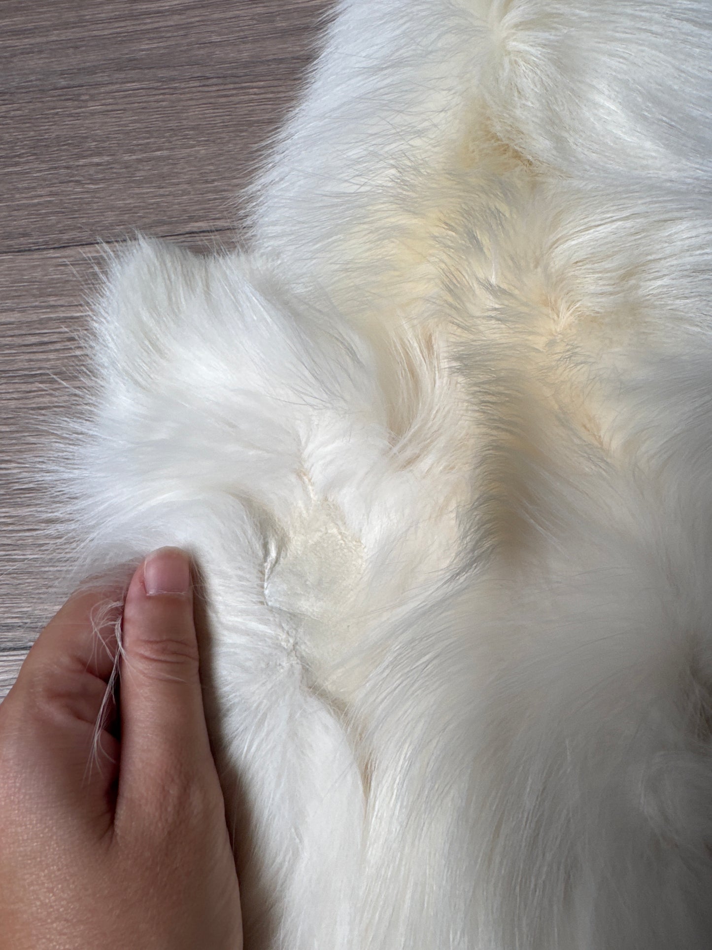 Sun Glow fox pelt (6)