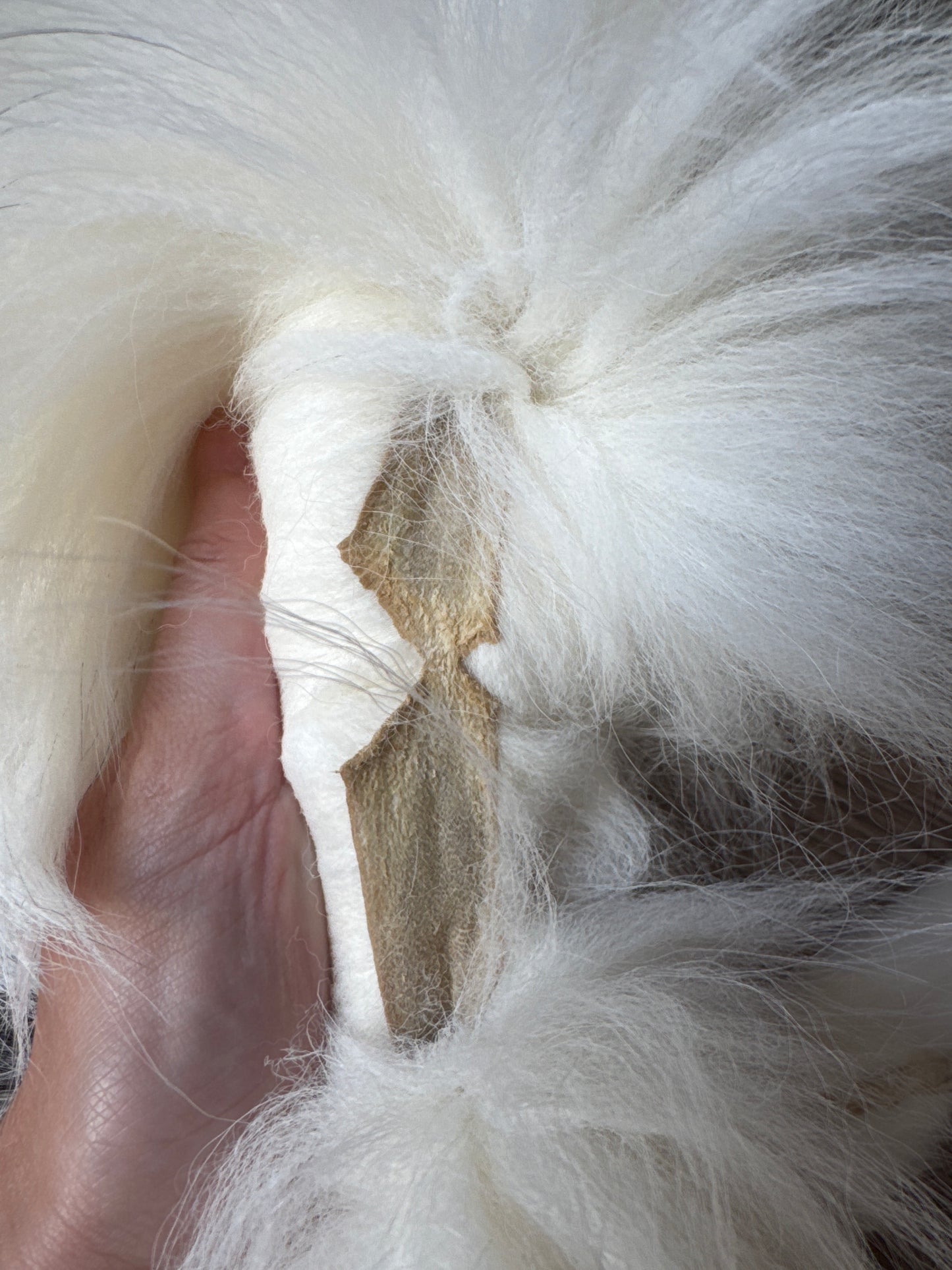 Cross Marble fox pelt (1)