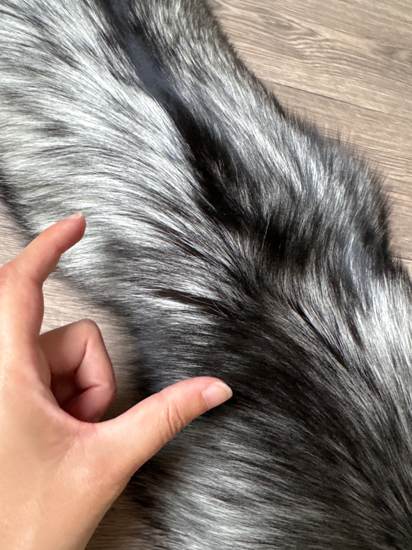 Silver Ringneck fox pelt (28)