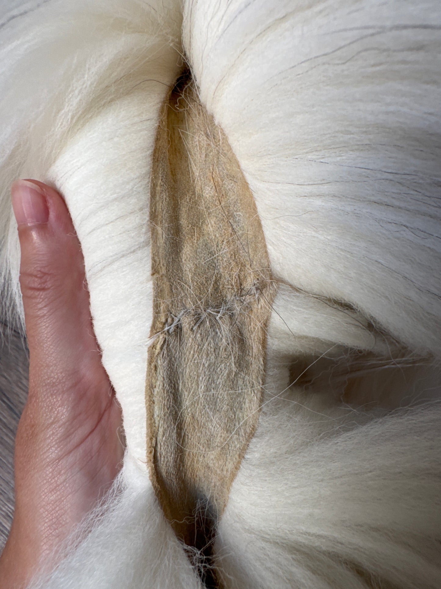 Sun Glow fox pelt (5)