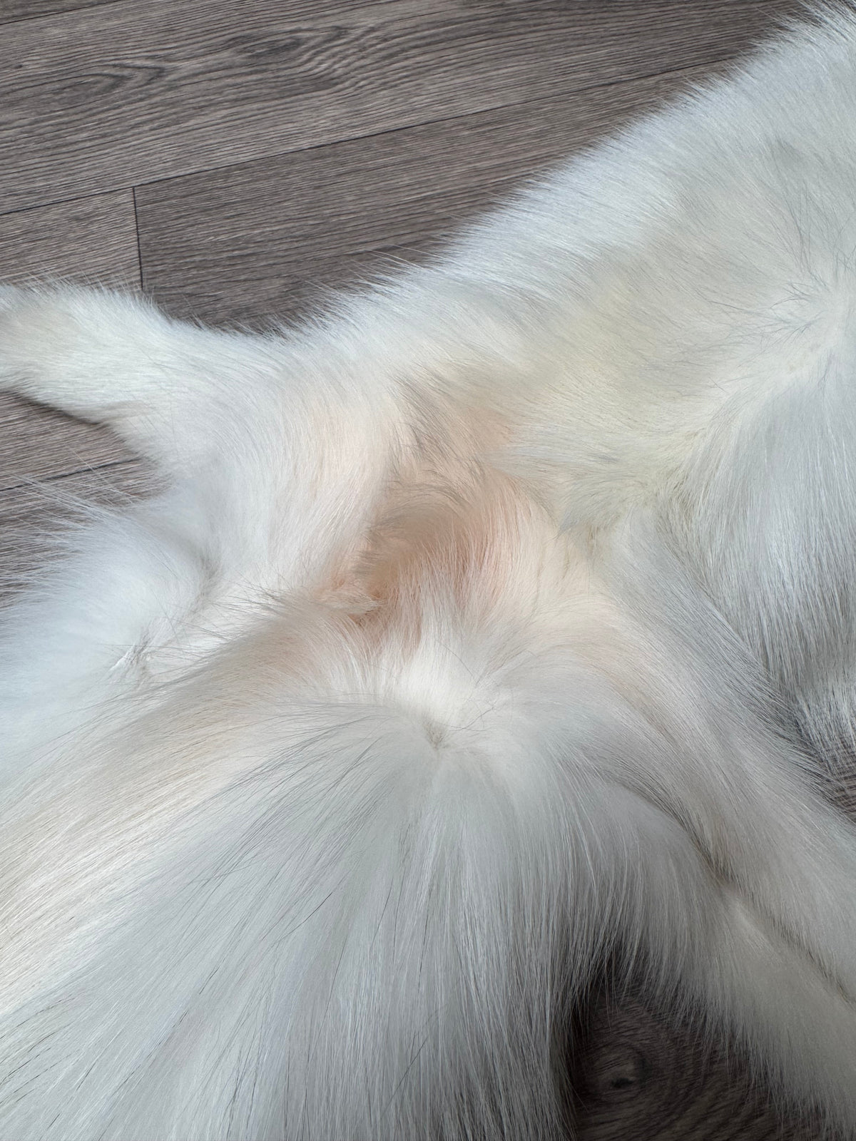 Arctic Marble fox pelt (18)