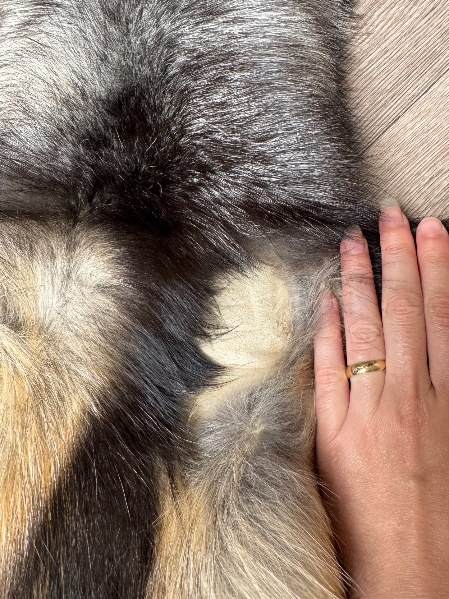 Smokey fox pelt (9)