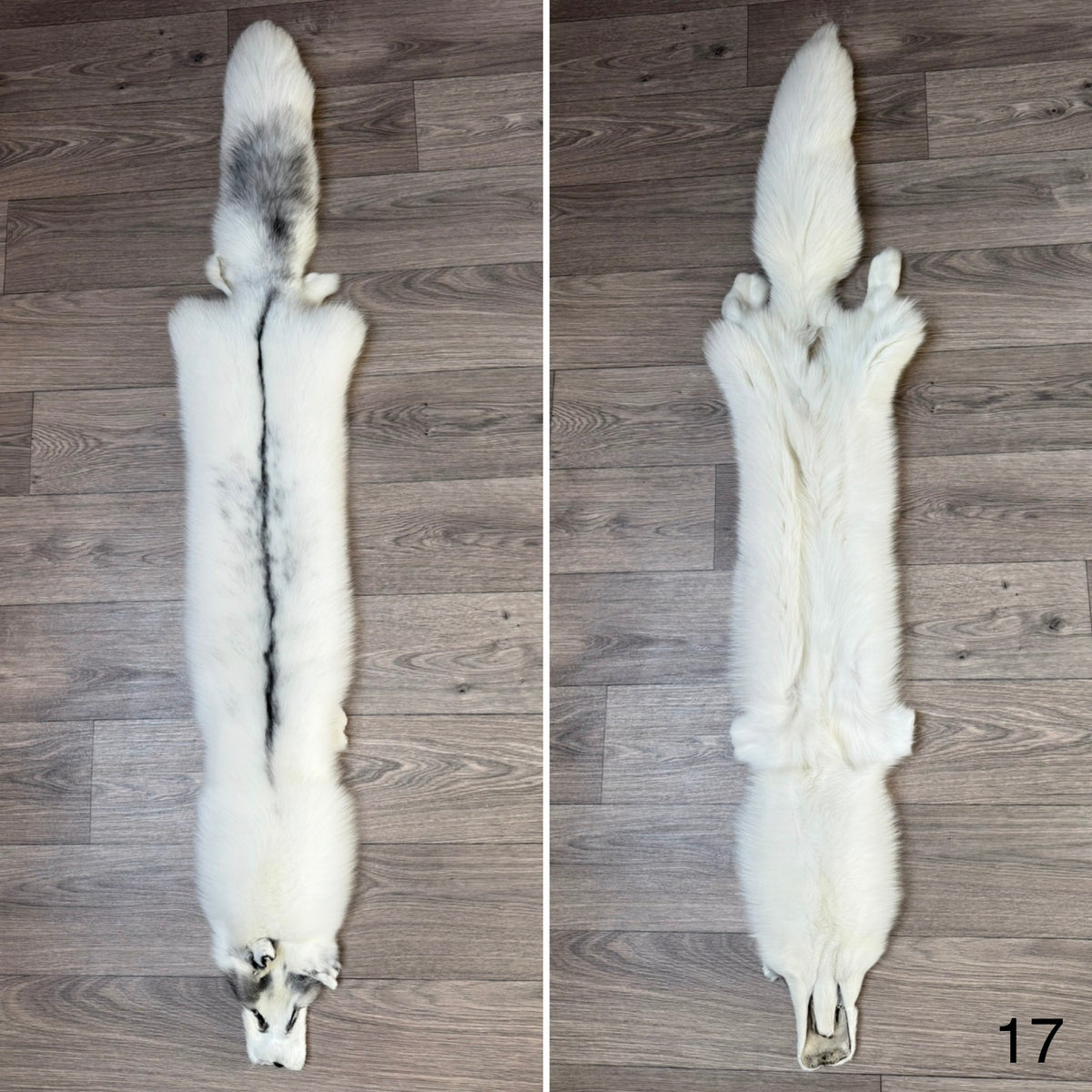 Marble Frost fox pelt (17)