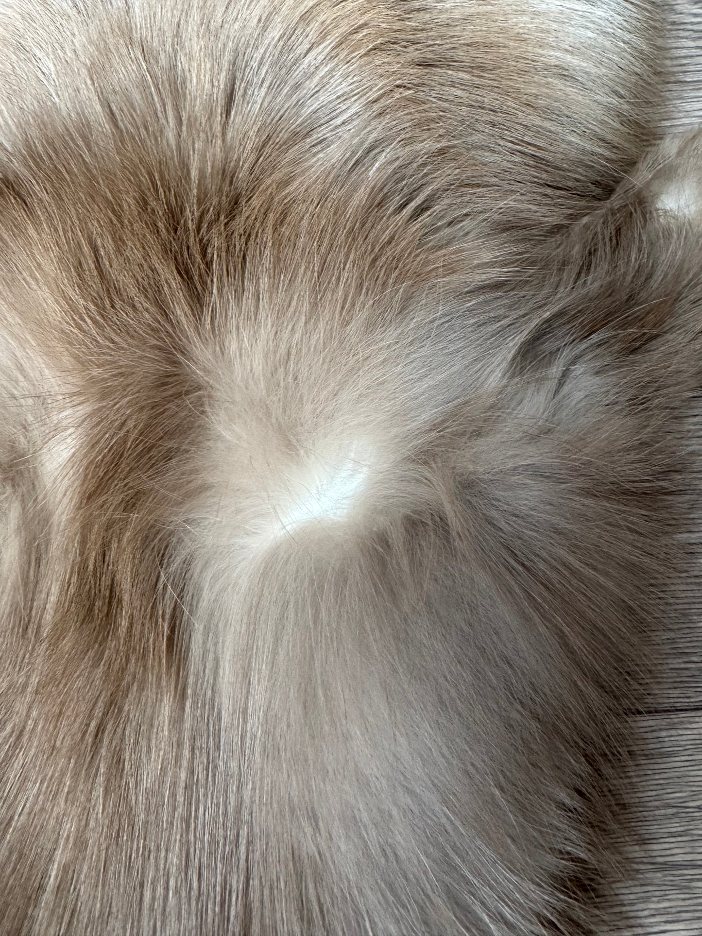 Polish Pastel fox pelt (12)