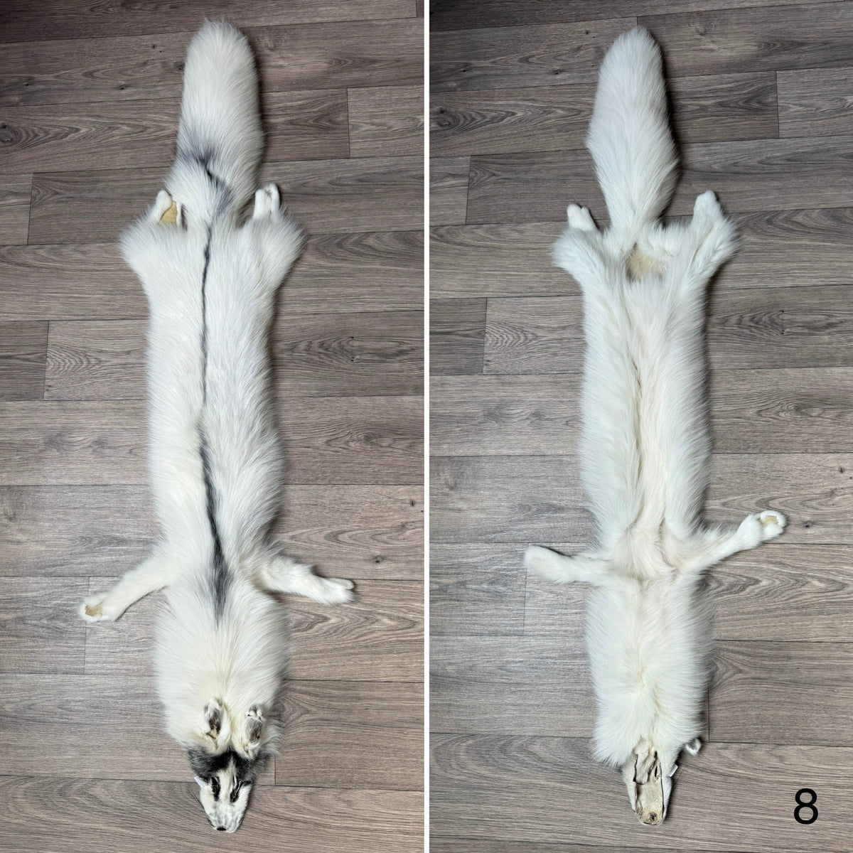 Arctic Marble fox pelt (8)