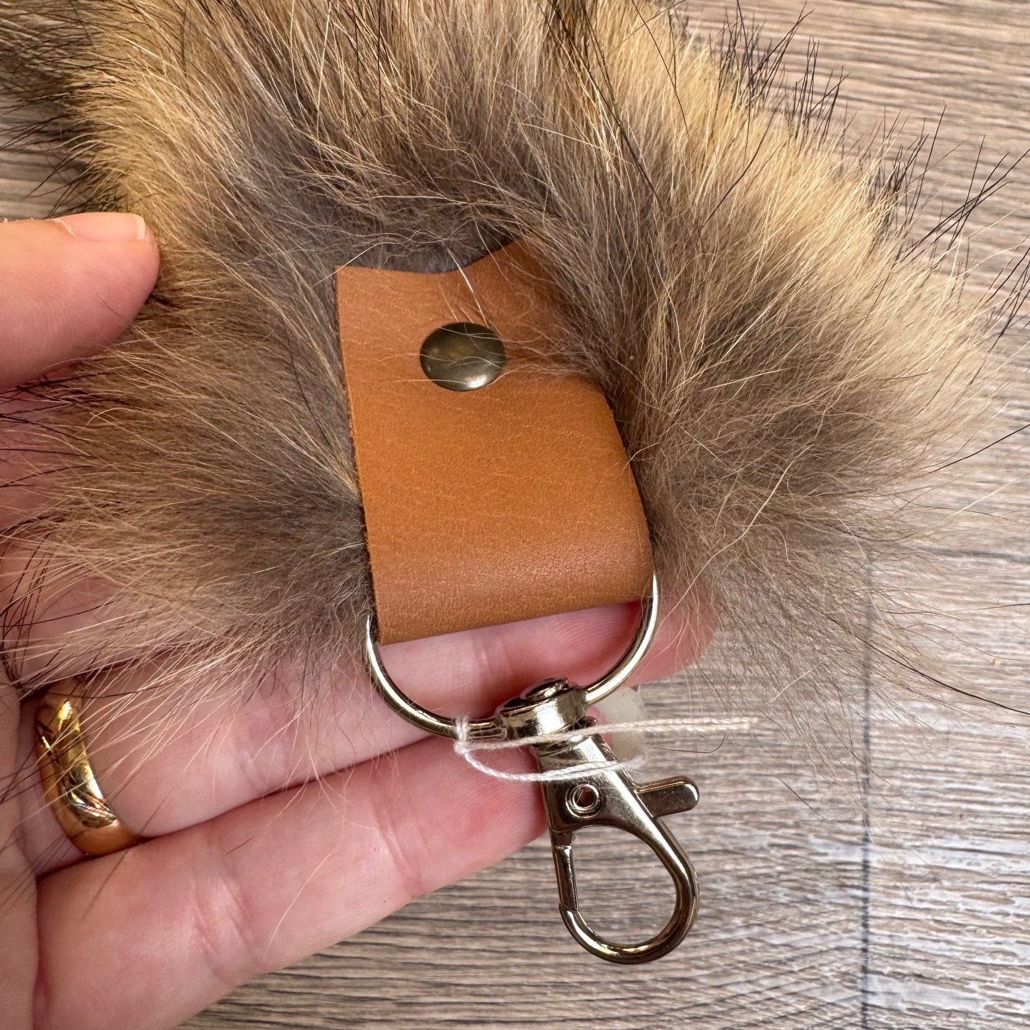 Coyote tail keychain (113)