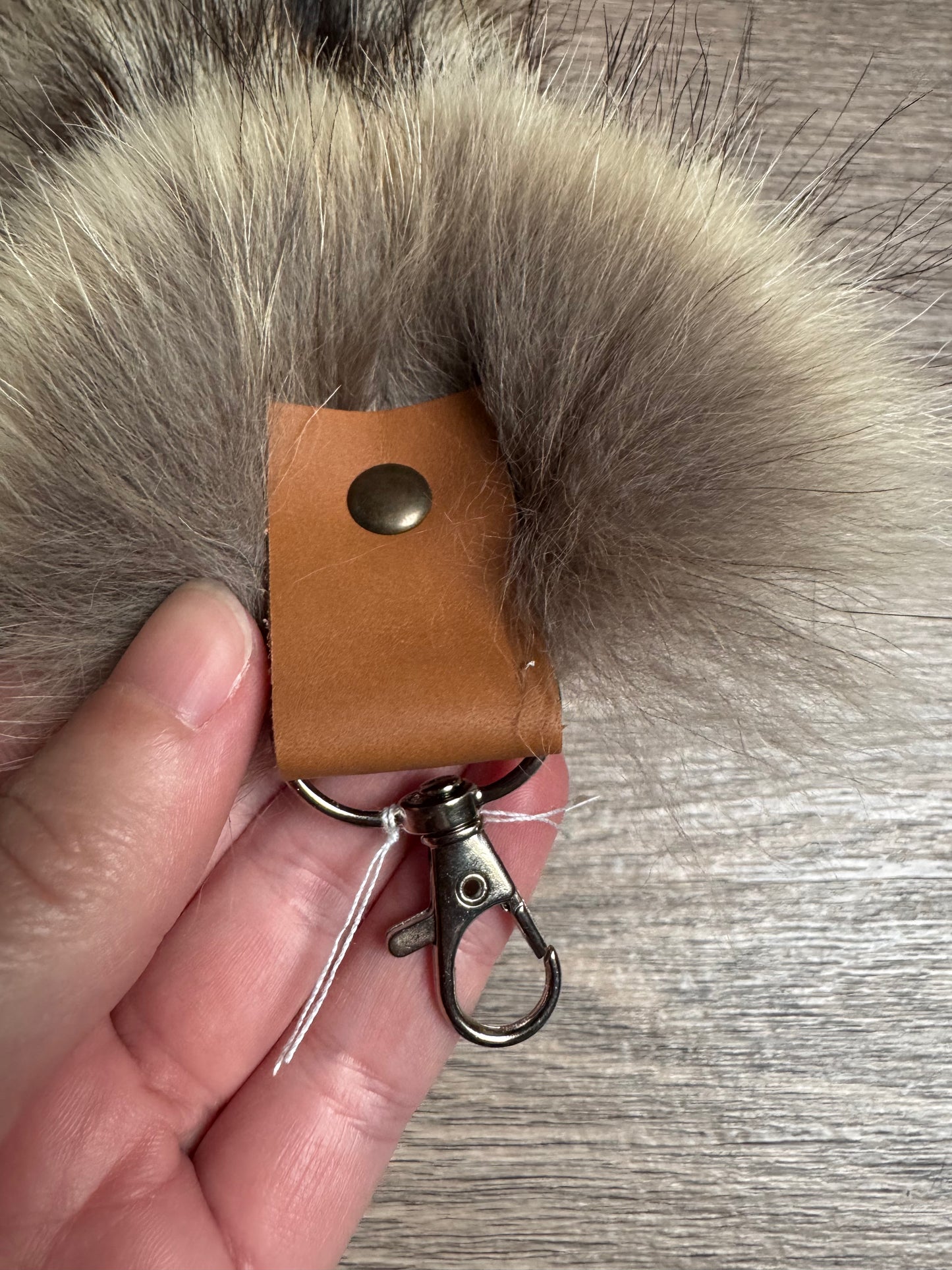 Coyote tail keychain (121)