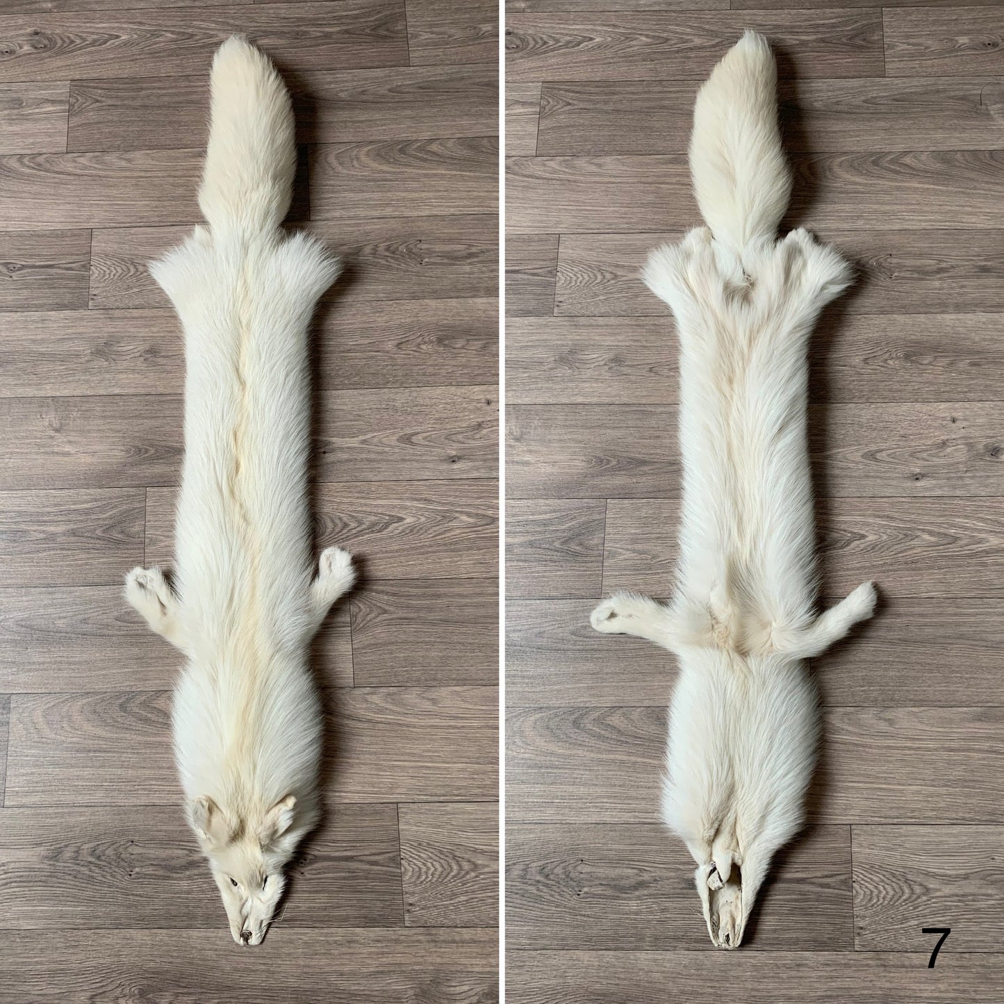 Palomino fox pelt (7)