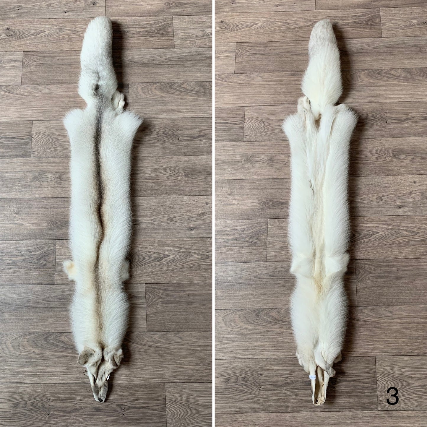 Fawn Light Brown fox pelt (3)