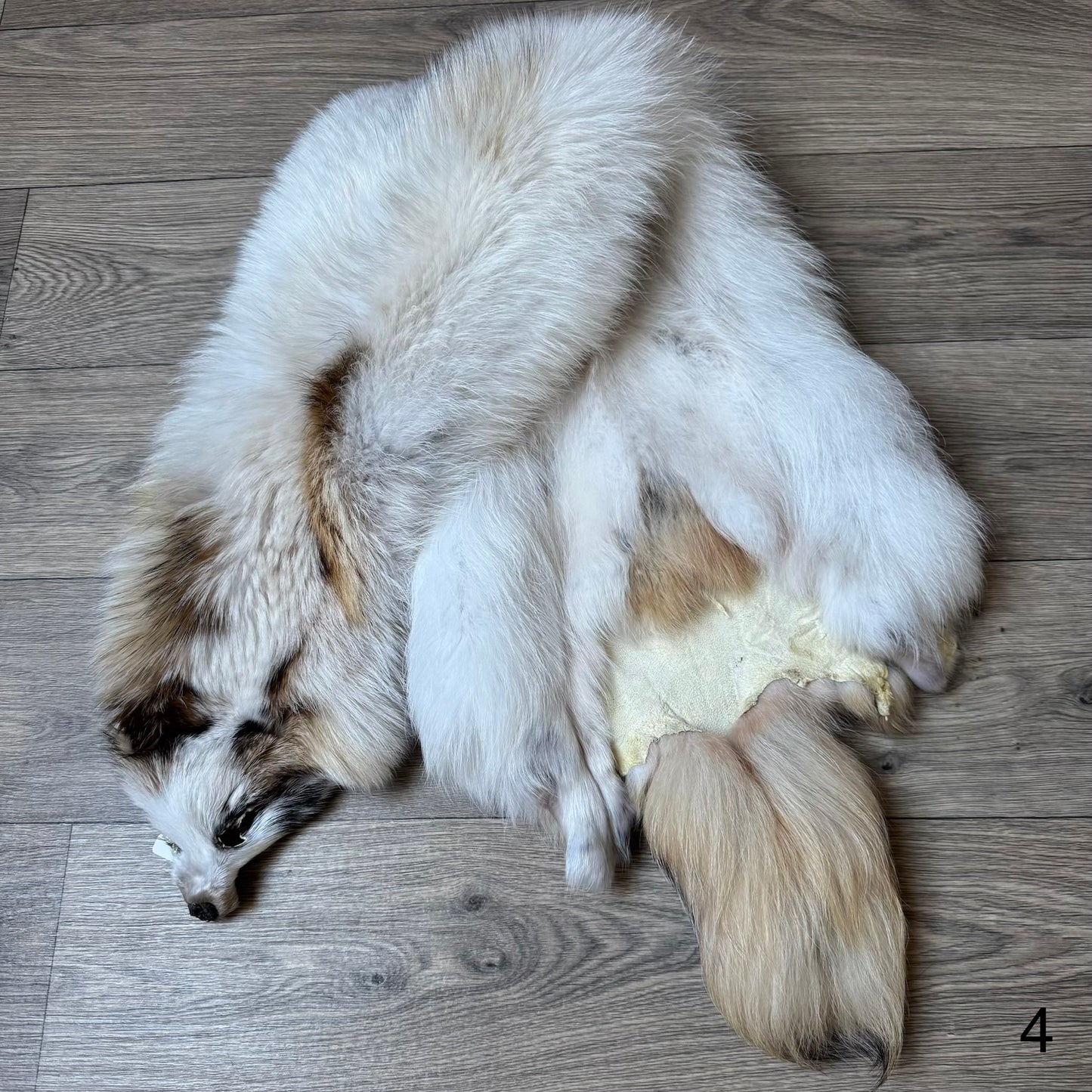 Marble tanuki pelt (4)