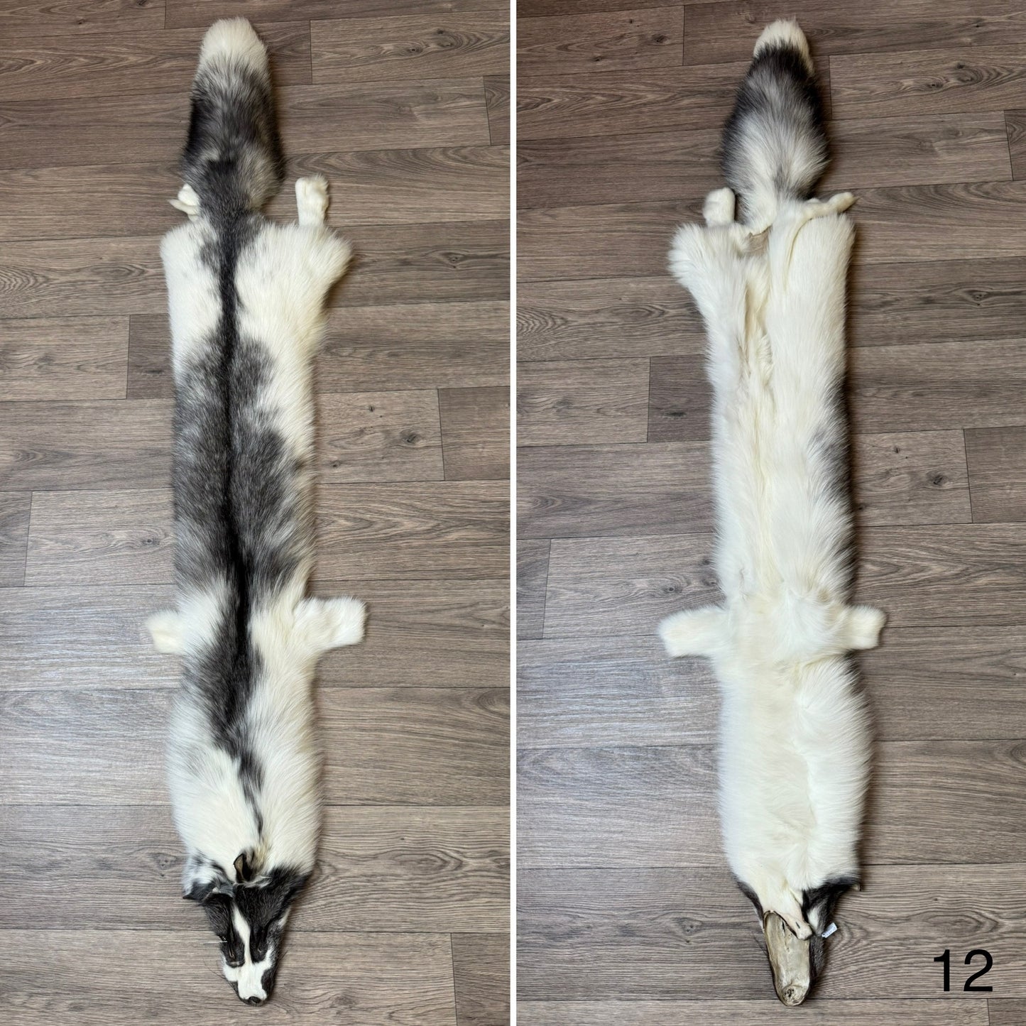 Marble Frost fox pelt (12)