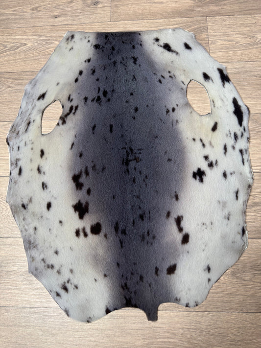 Harp seal skin (9)