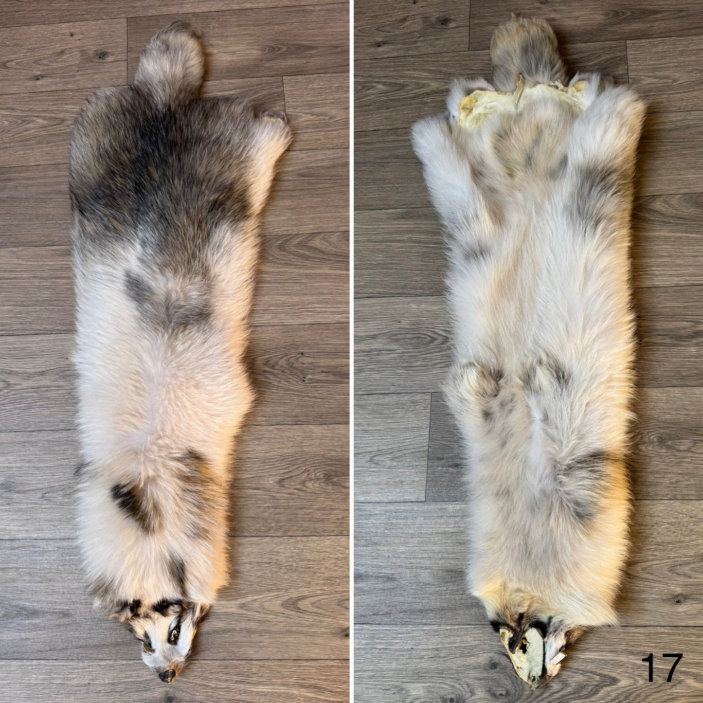 Marble tanuki pelt (17)