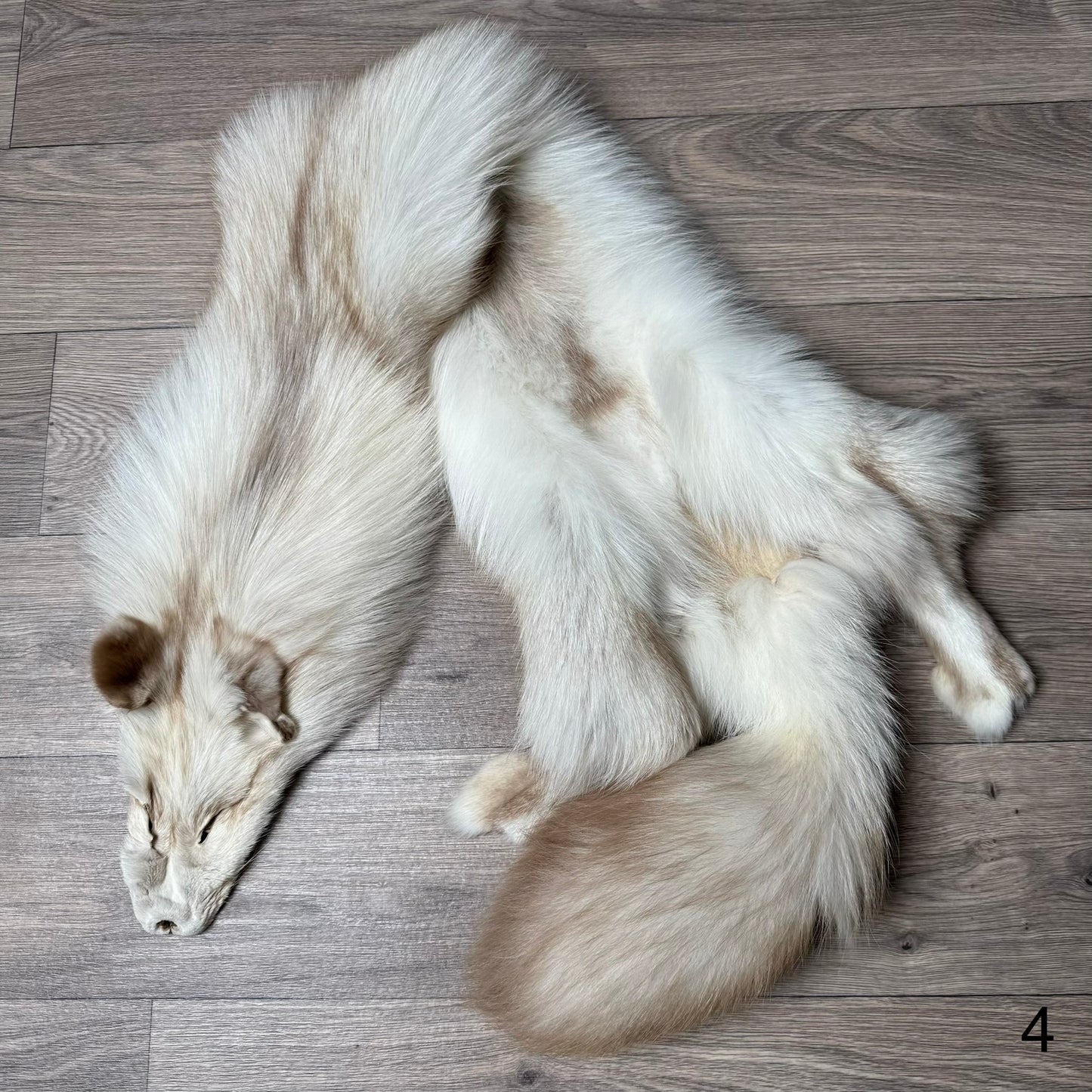 Smokey Snow Glow Whitemark fox pelt (4)