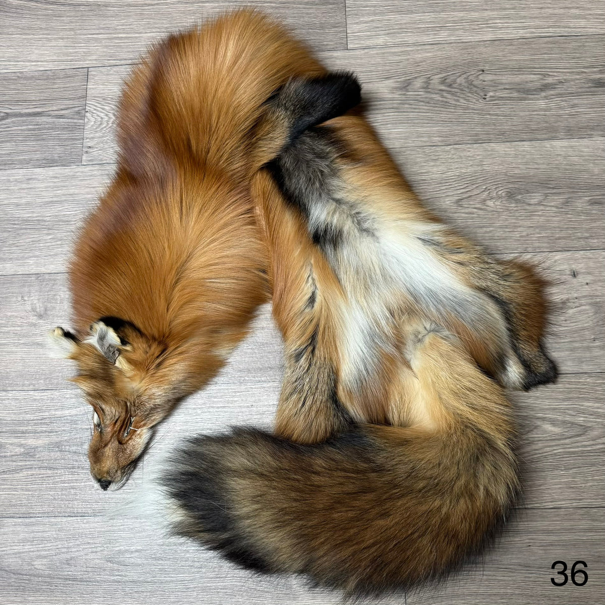 Gold fox pelt (36)