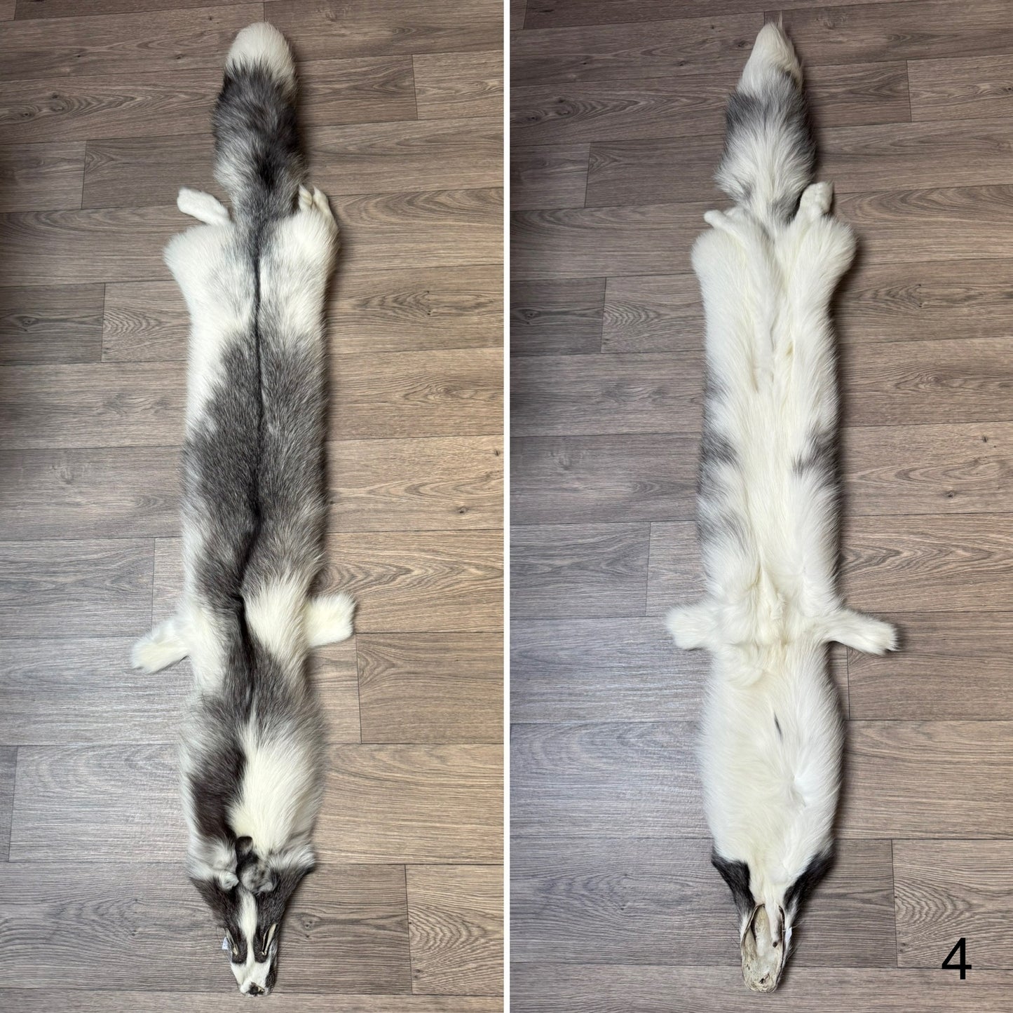Marble Frost fox pelt (4)
