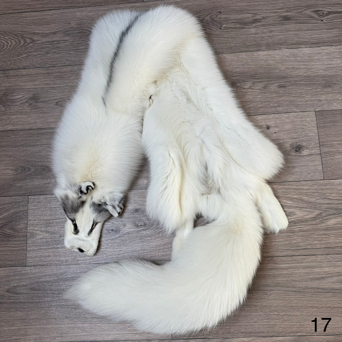 Marble Frost fox pelt (17)