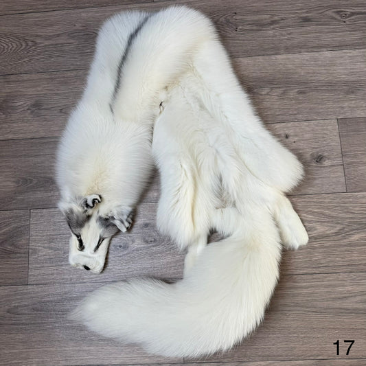 Marble Frost fox pelt (17)