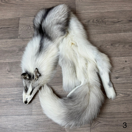 Platinum fox pelt (3)